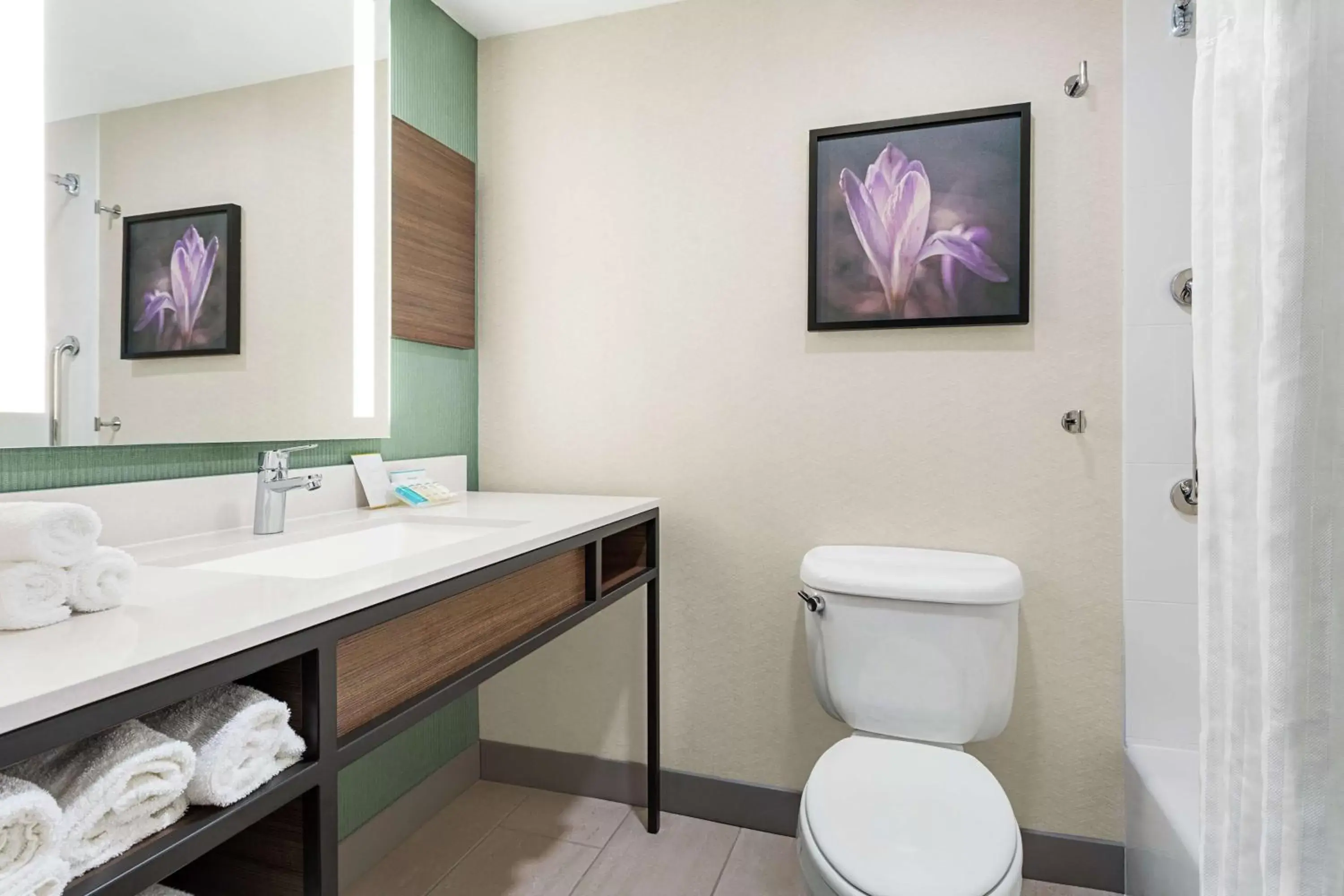 Bathroom in Hilton Garden Inn Allentown Bethlehem Airport