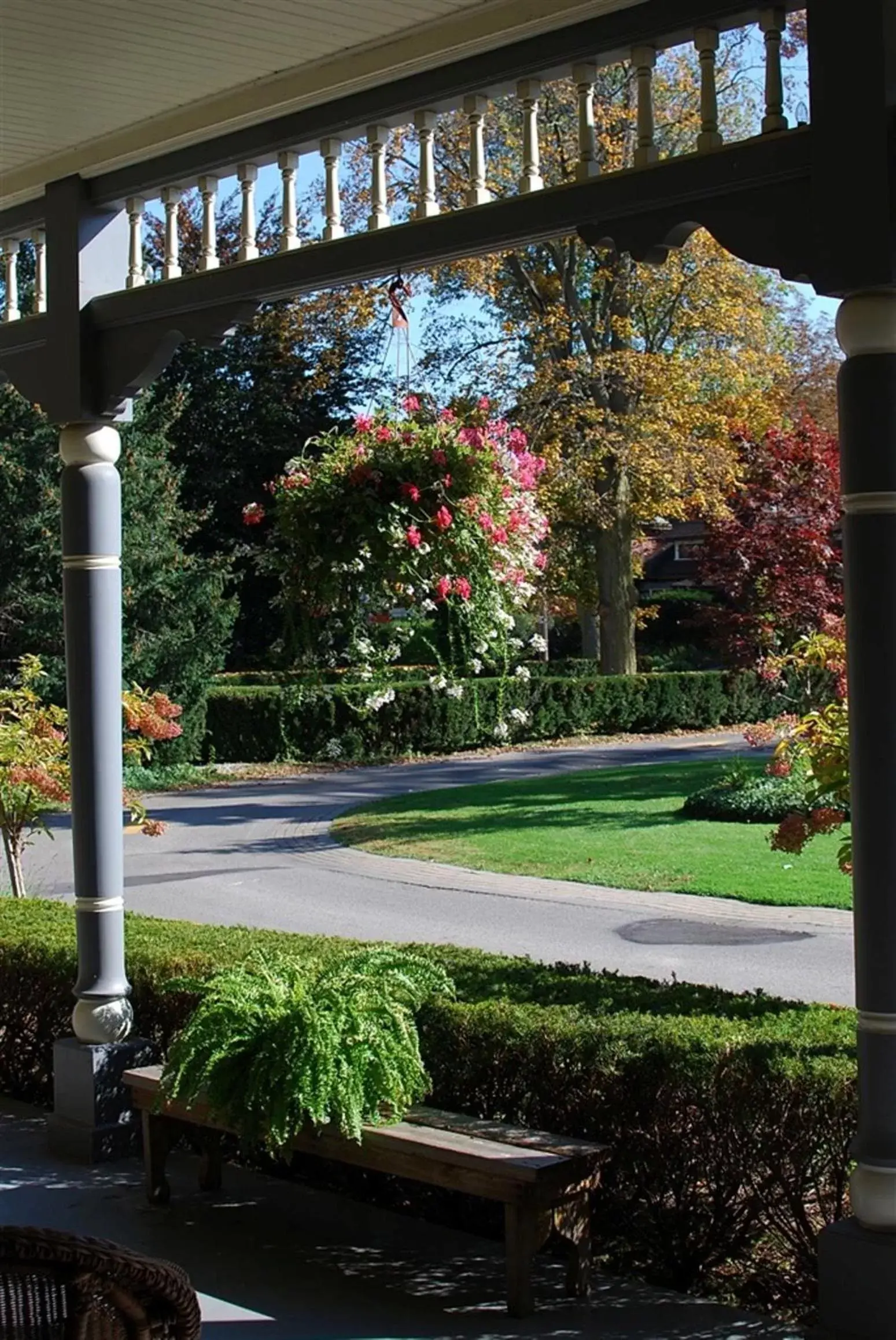 View (from property/room), Garden in The Idlewyld Inn and Spa