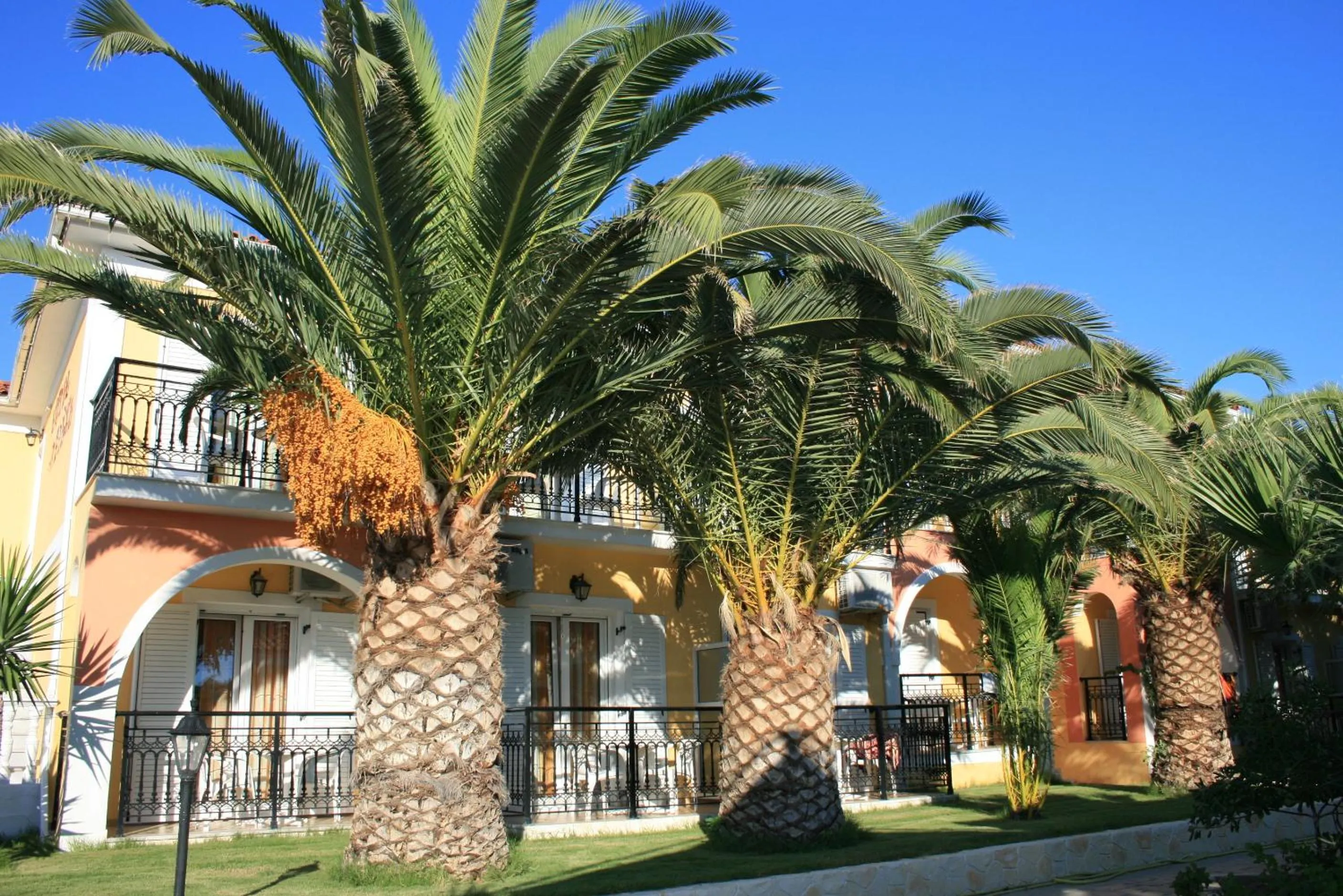 Property building in Metaxa Hotel