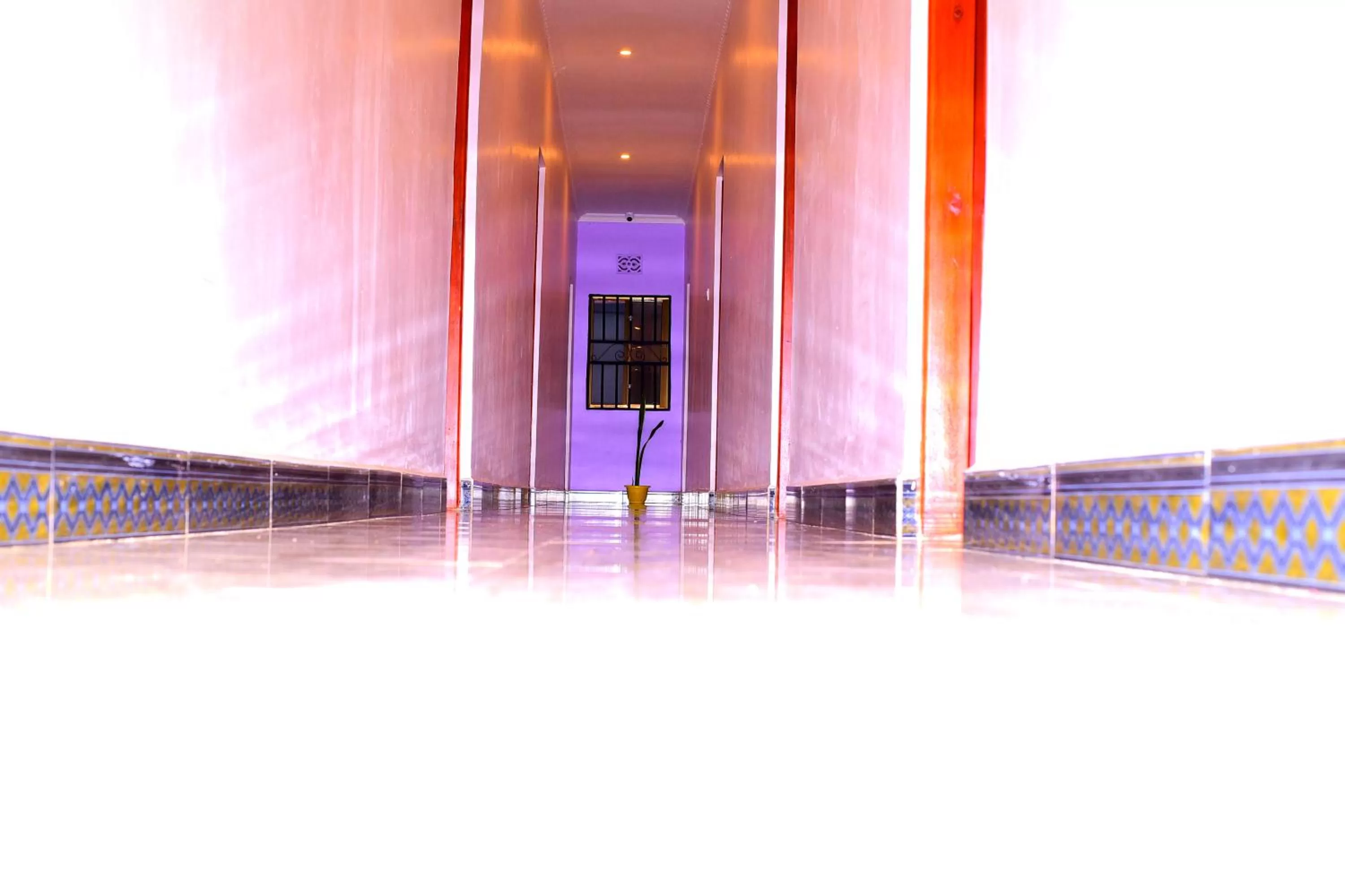 elevator in Safari Park House