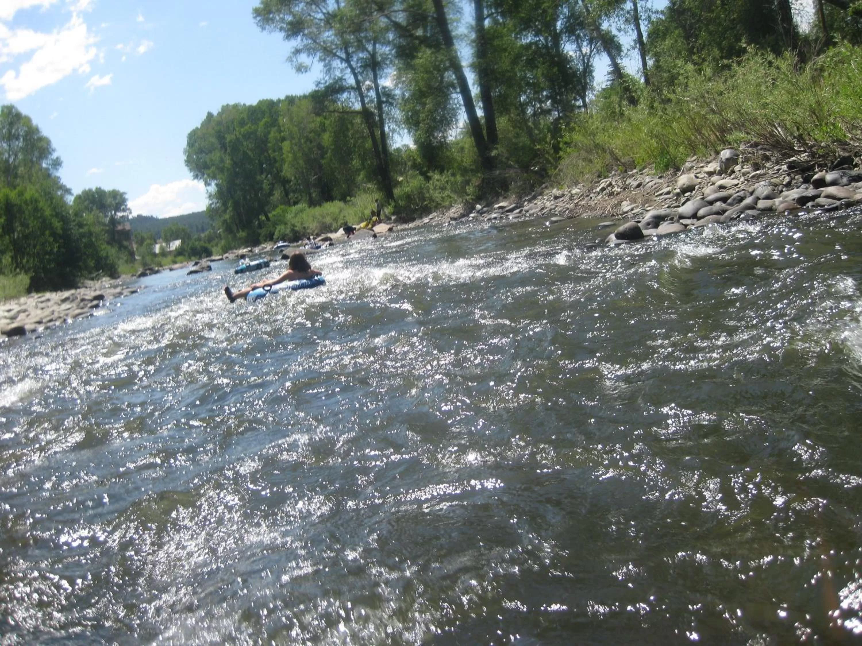 Area and facilities in Alpine Inn