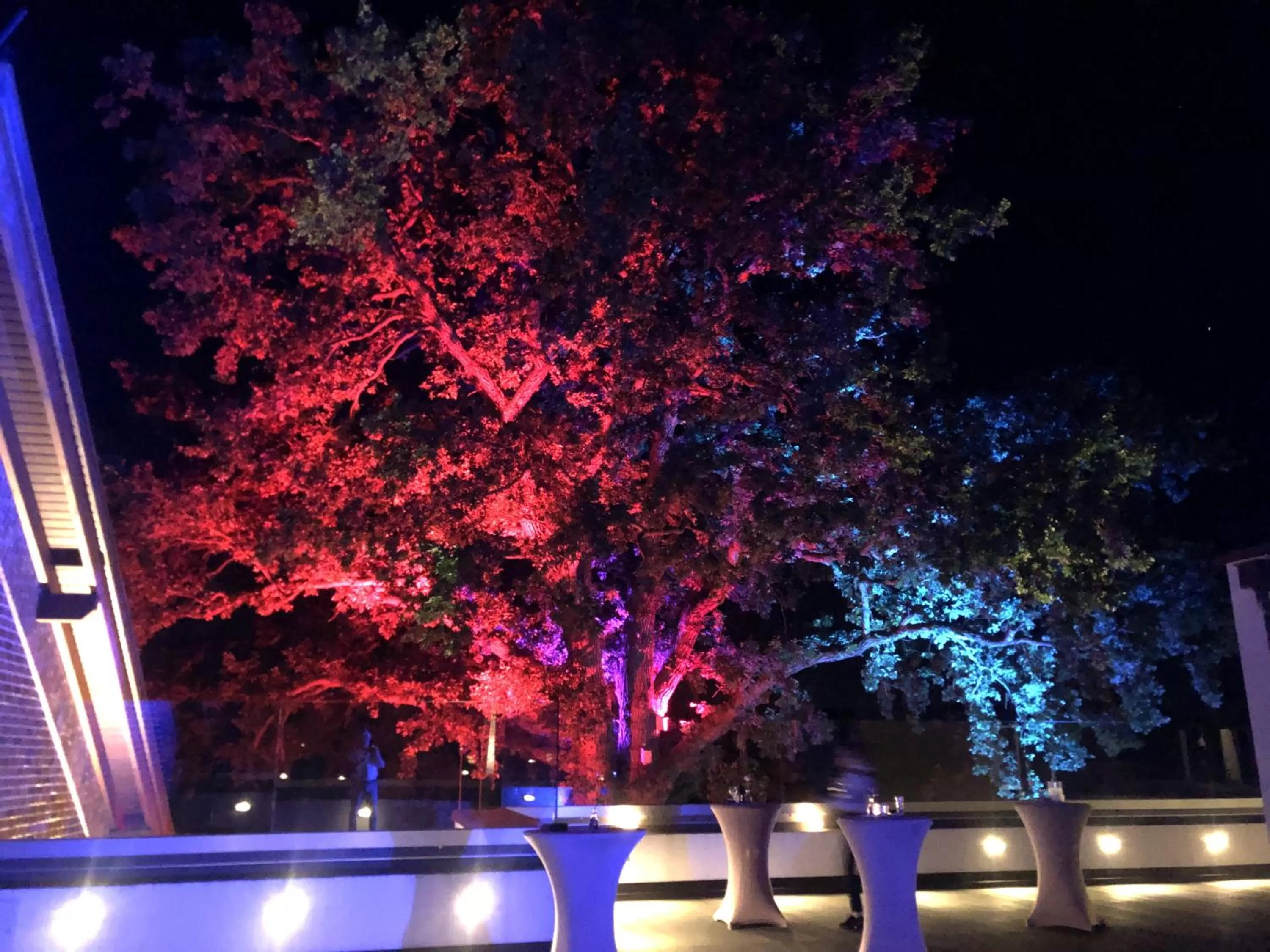 Garden in Landhaus Bruckmann