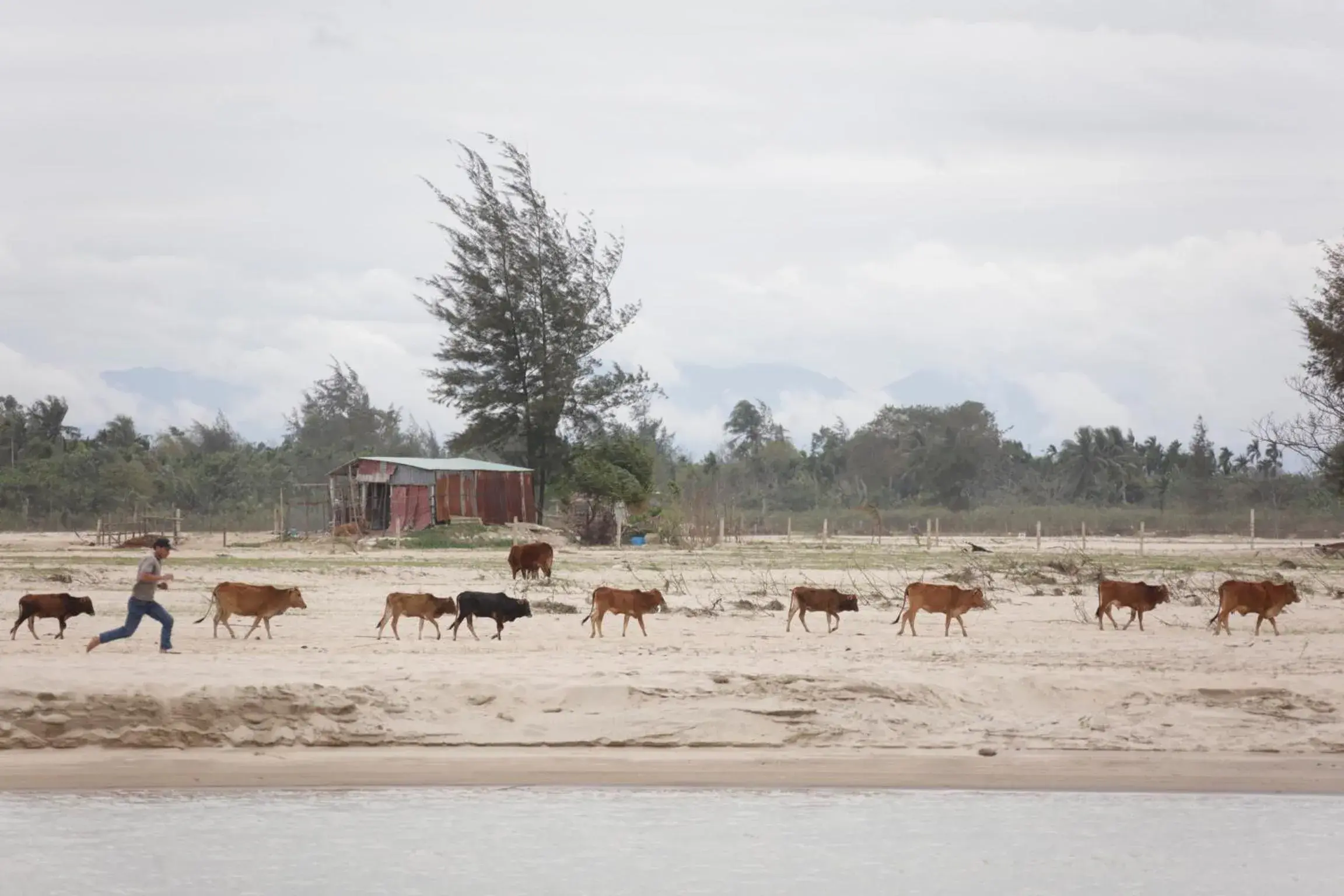 Nearby landmark, Beach in Riverside Hamlet Homestay & Villa