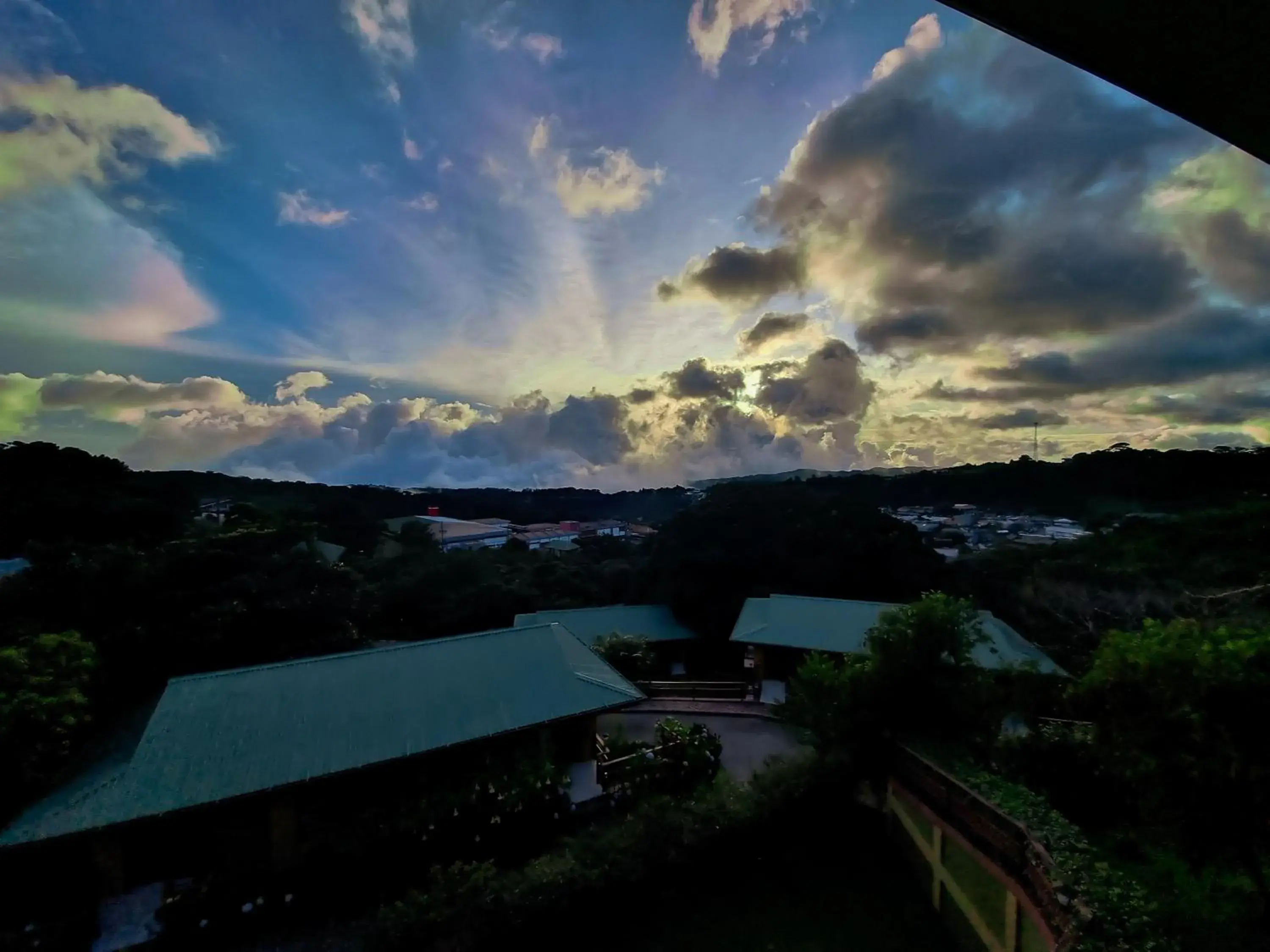 View (from property/room) in Hotel Ficus - Monteverde