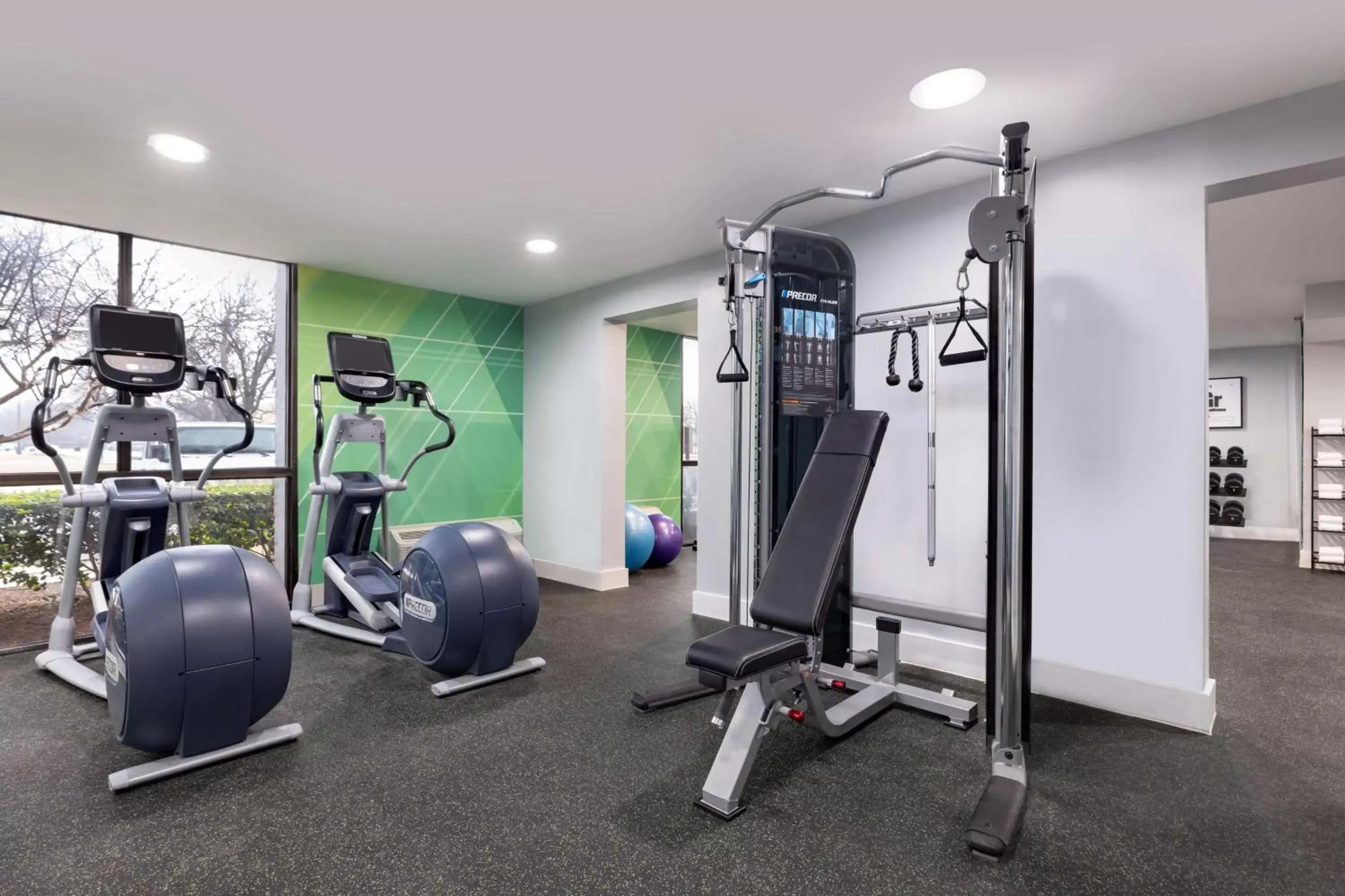 Fitness centre/facilities, Fitness Center/Facilities in Doubletree By Hilton Fort Worth South