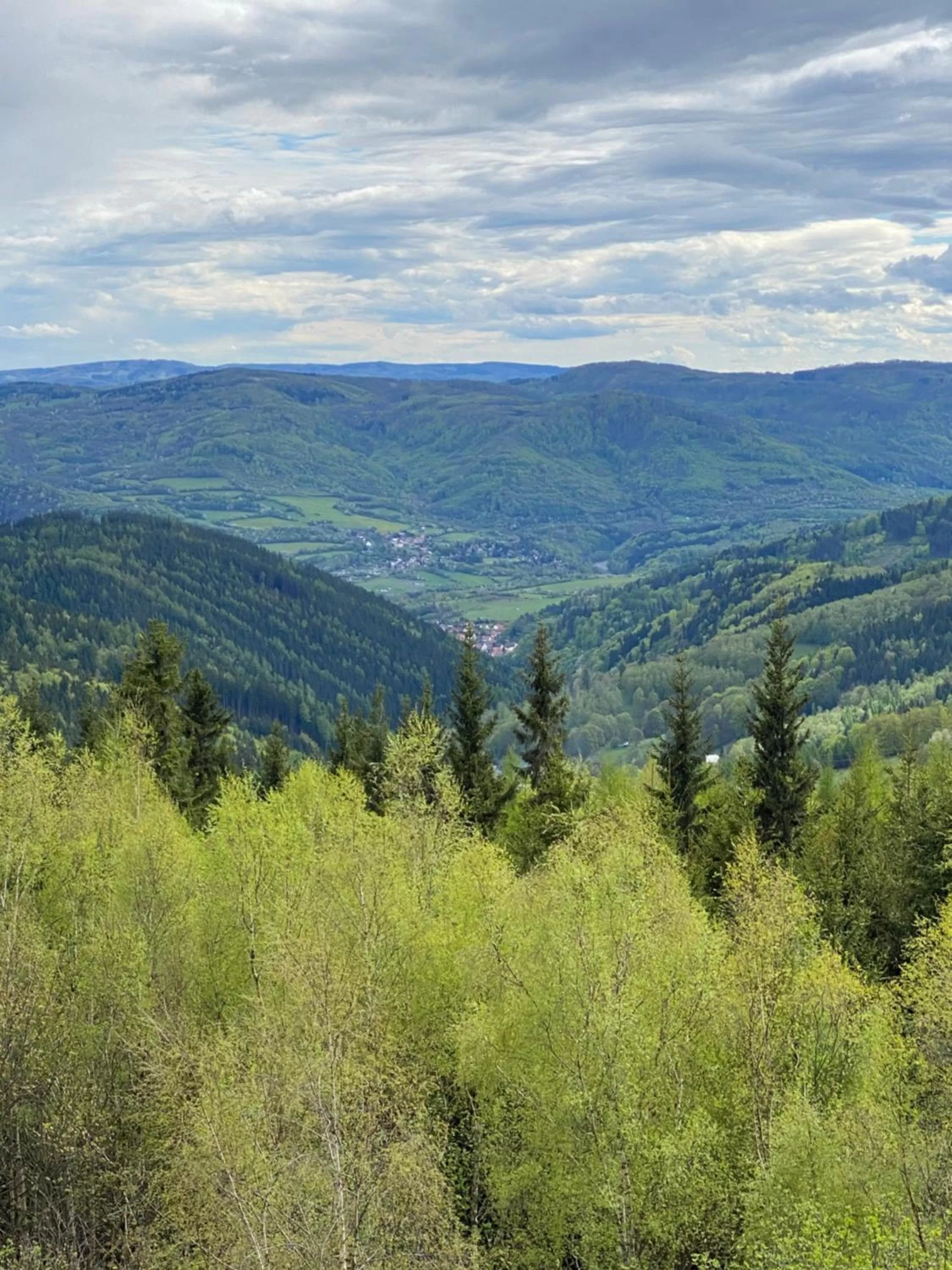 Natural landscape in Vila Jáchymov