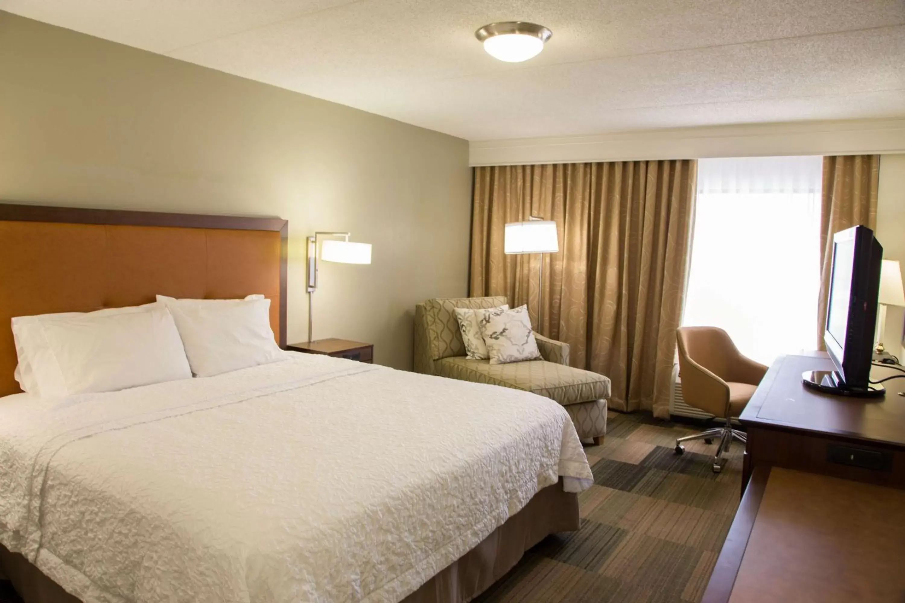 Bedroom, Bed in Hampton Inn & Suites Albany-Downtown
