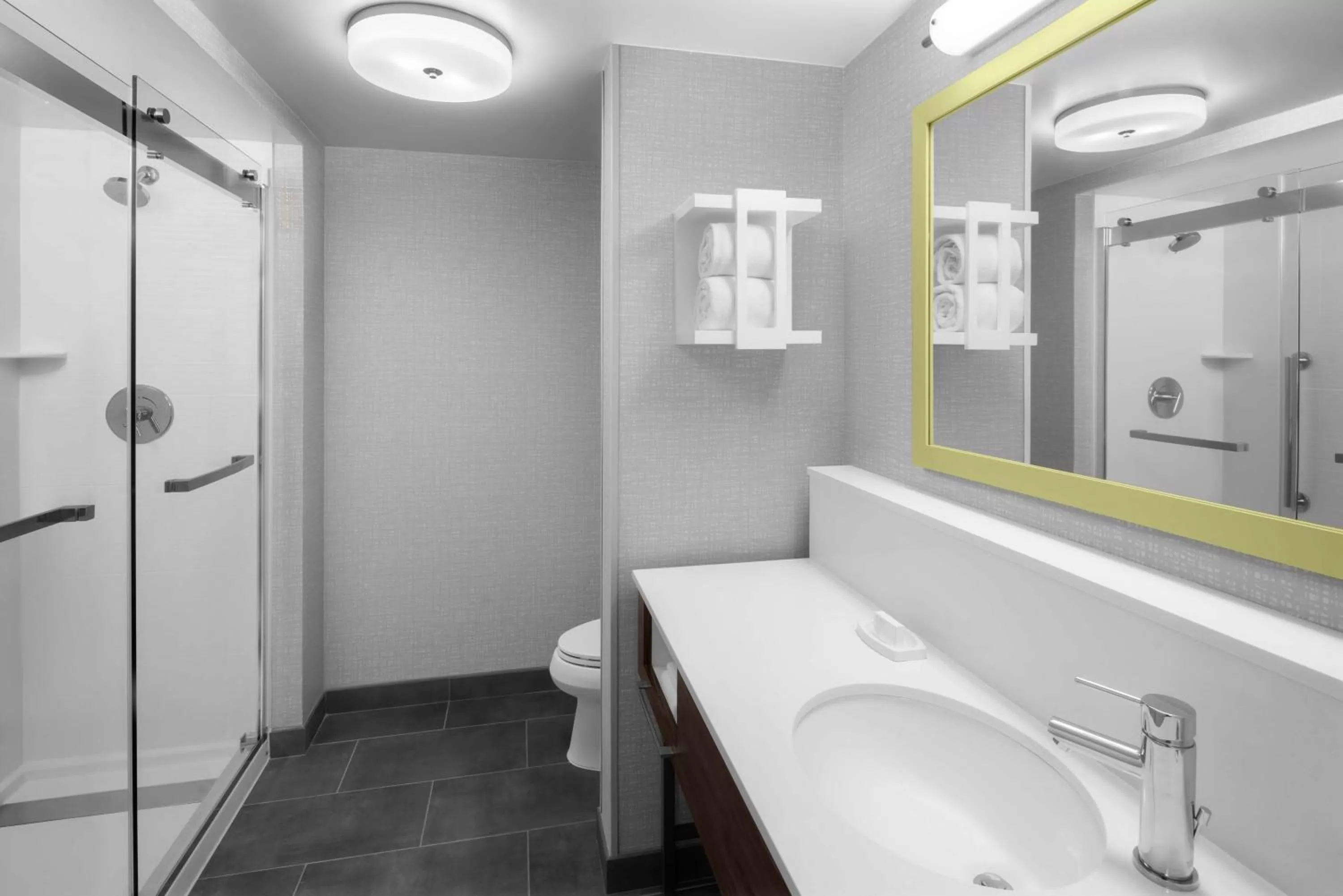 Bathroom in Hampton Inn & Suites Grand Rapids-Airport 28th St