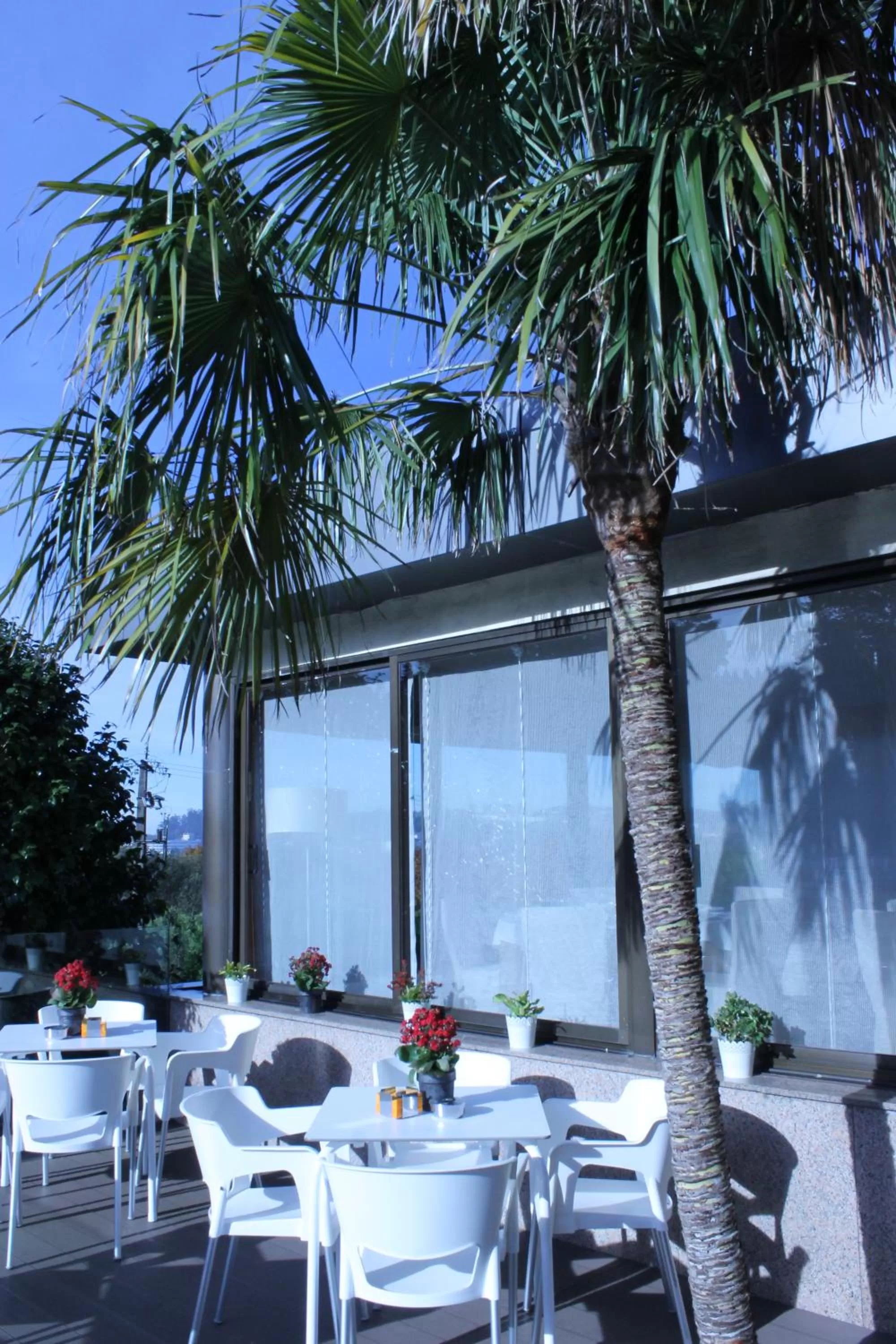 Balcony/Terrace in Hotel Santiago Apóstol