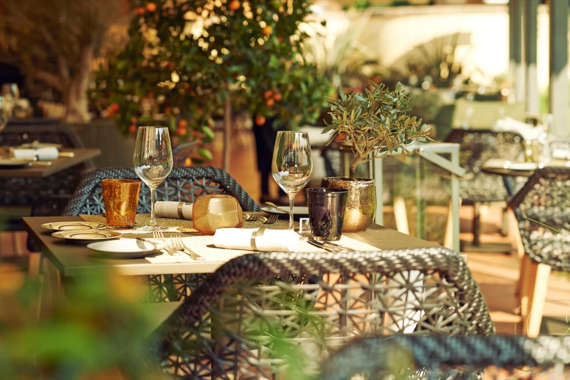 Restaurant/places to eat in Giardino Ascona