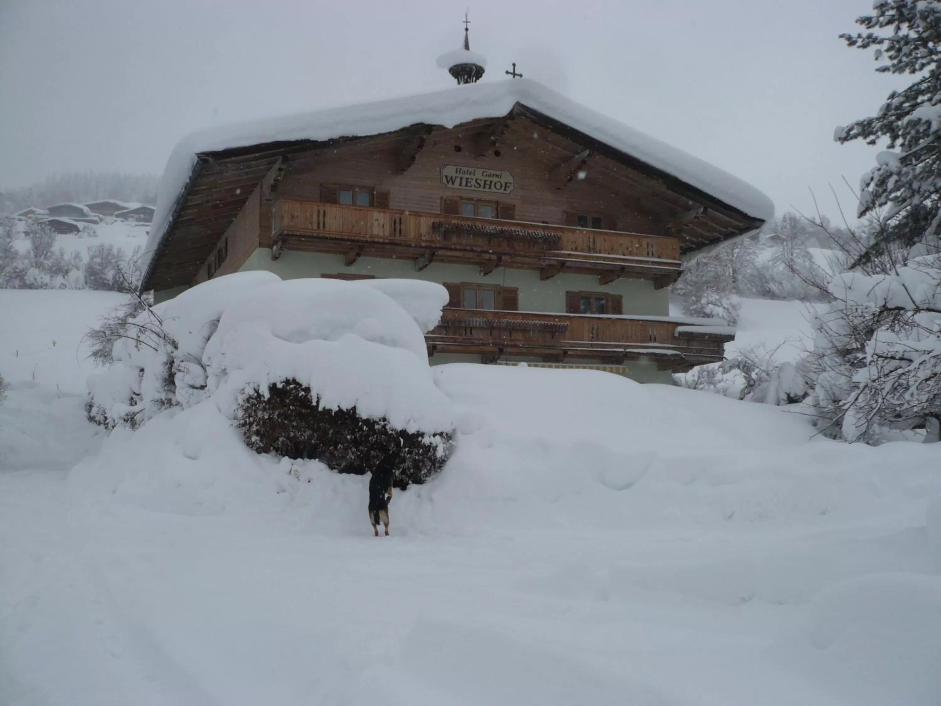 Property building in Hotel Garni Wieshof