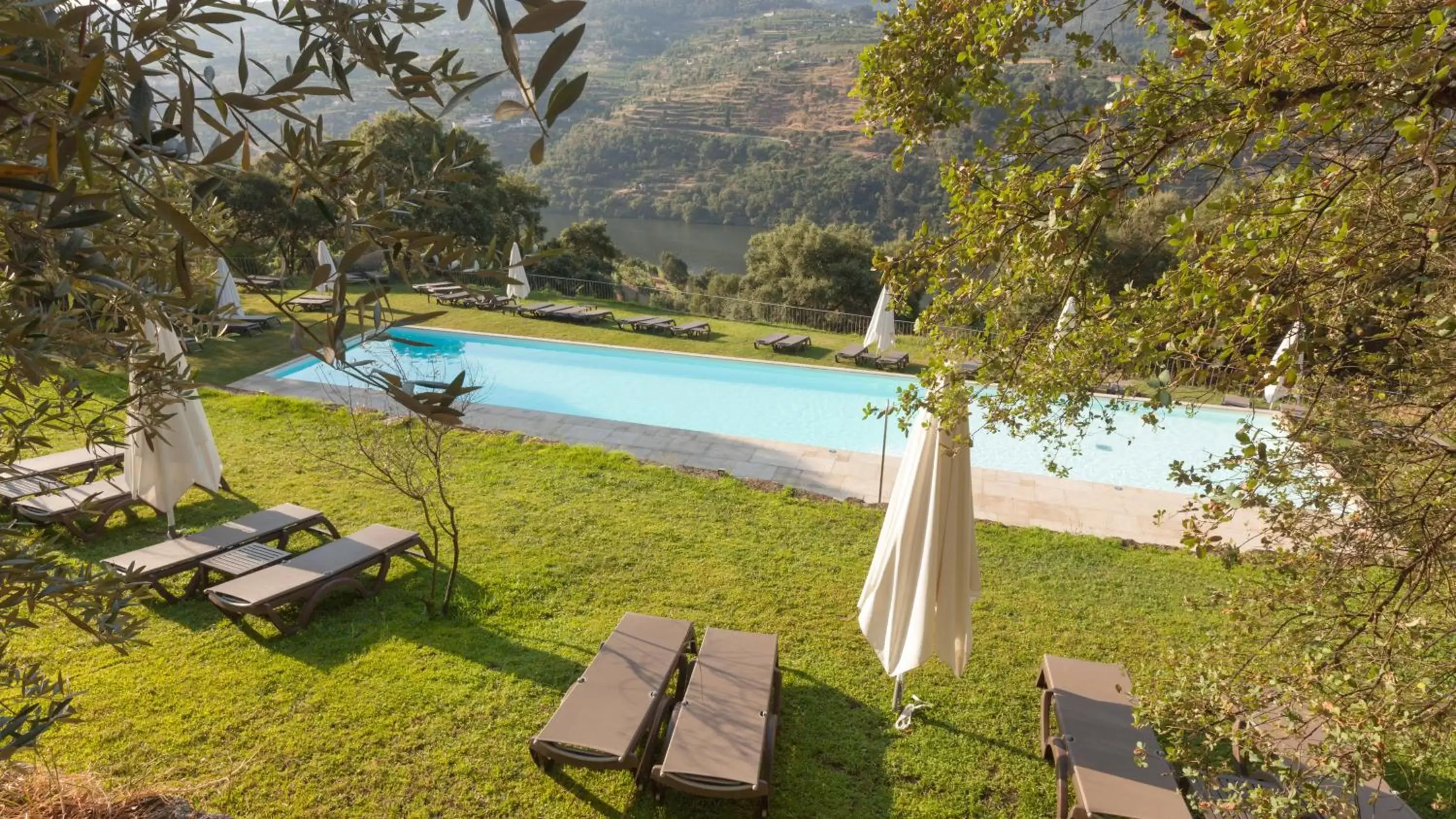 Swimming Pool in Douro Palace Hotel Resort & SPA