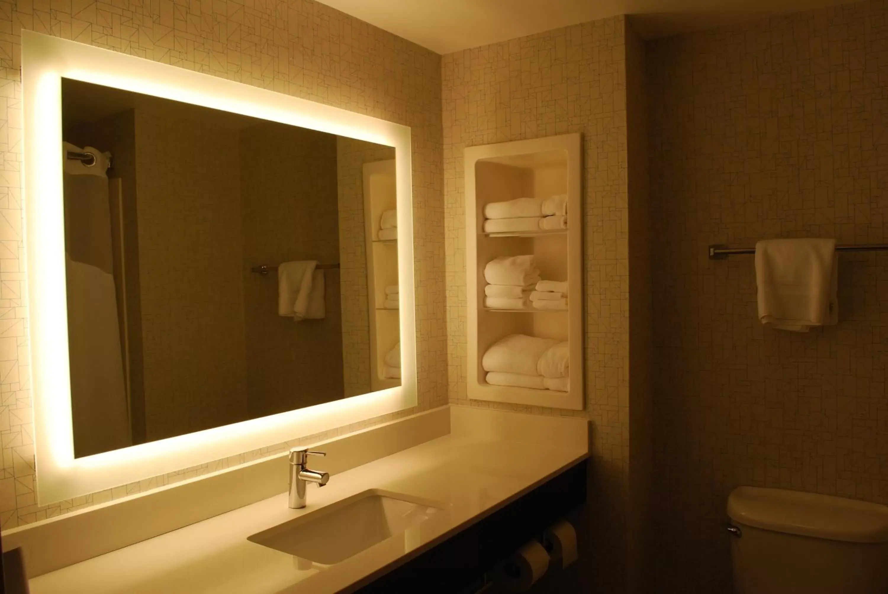 Bedroom, Bathroom in Holiday Inn Express Hotel & Suites Kingsport-Meadowview I-26, an IHG Hotel