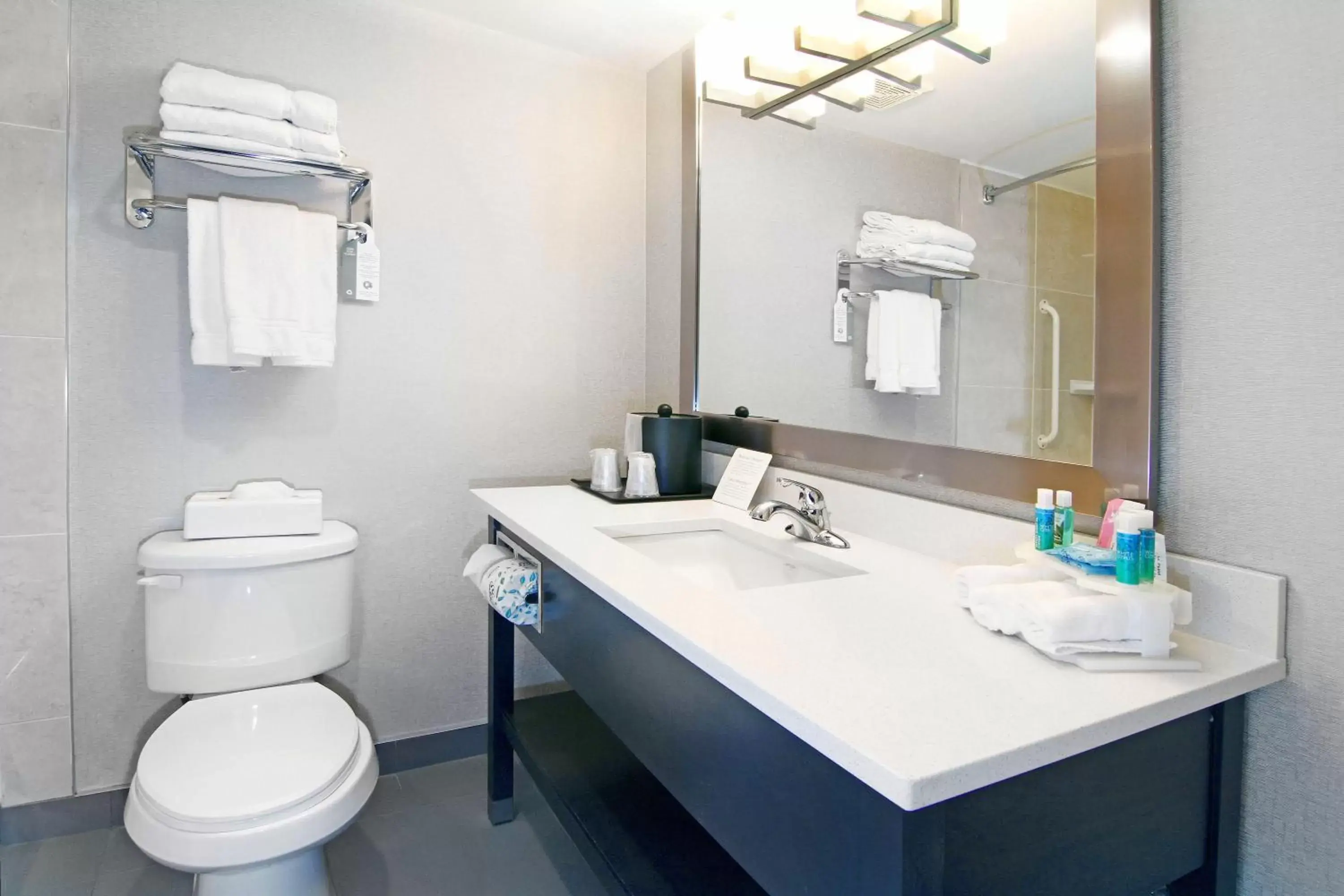 Bathroom in Holiday Inn Express and Suites Calgary, an IHG Hotel