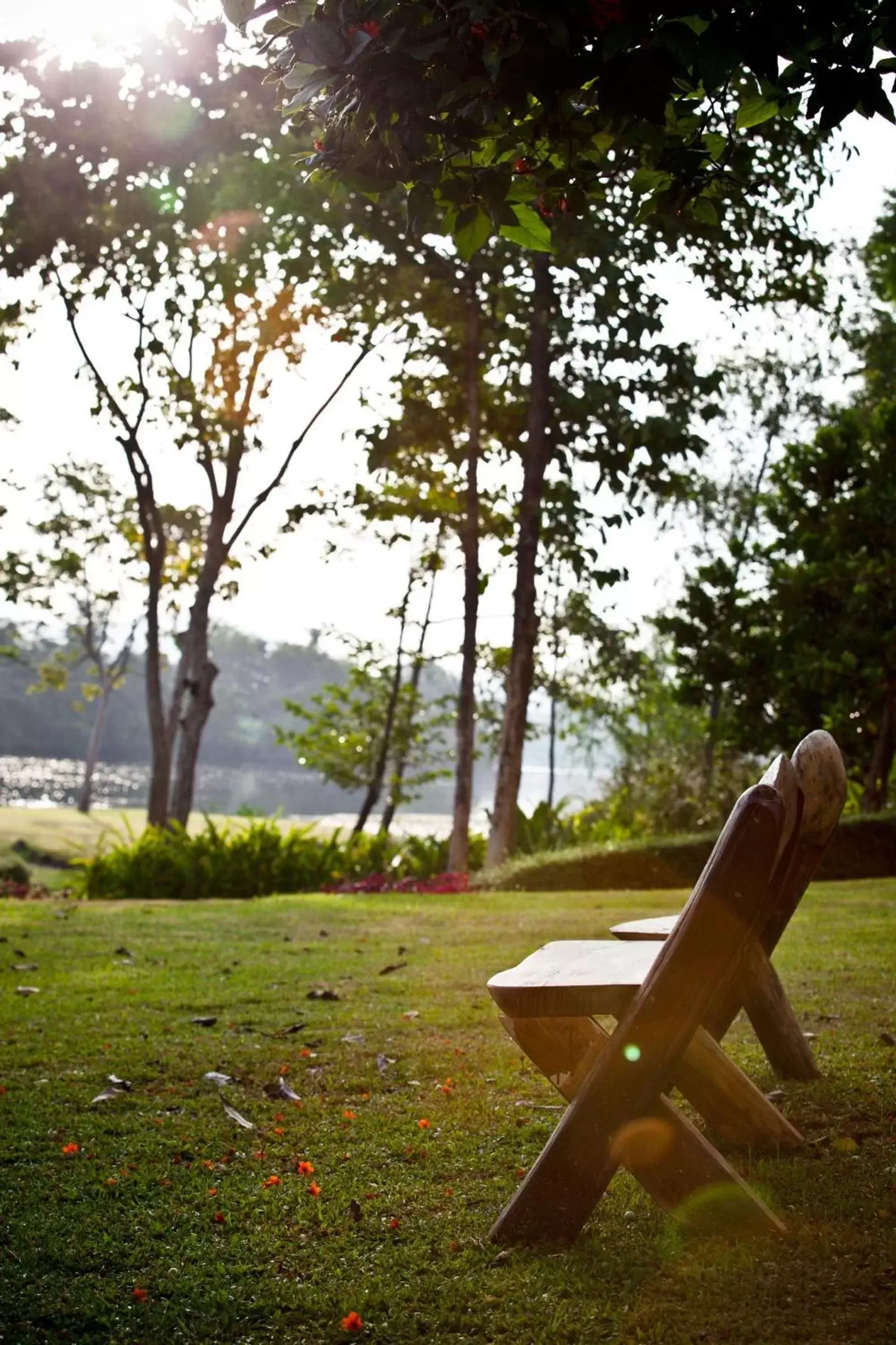 Garden in Dheva Mantra Resort - SHA