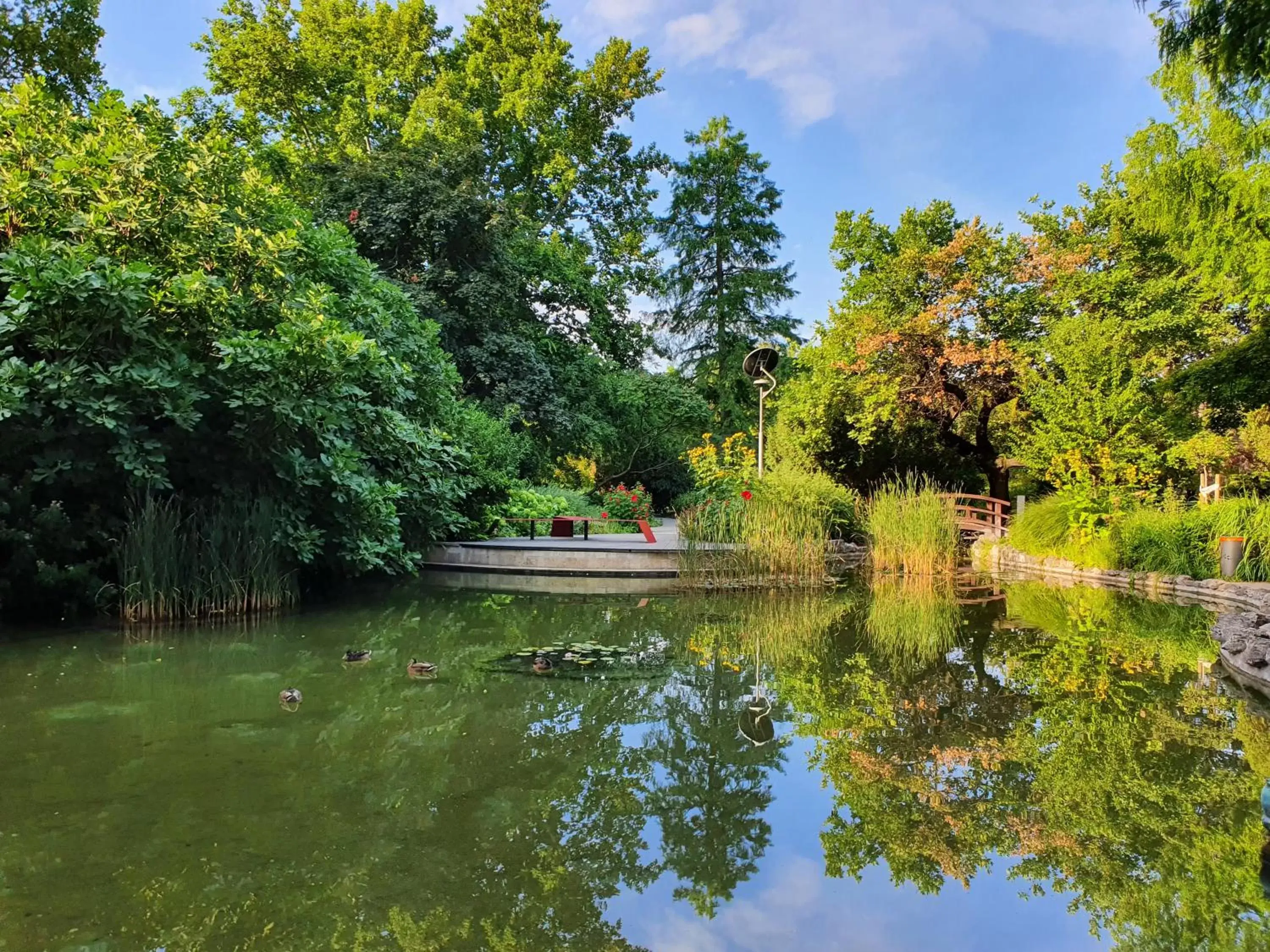 Nearby landmark, Garden in Ensana Thermal Margaret Island