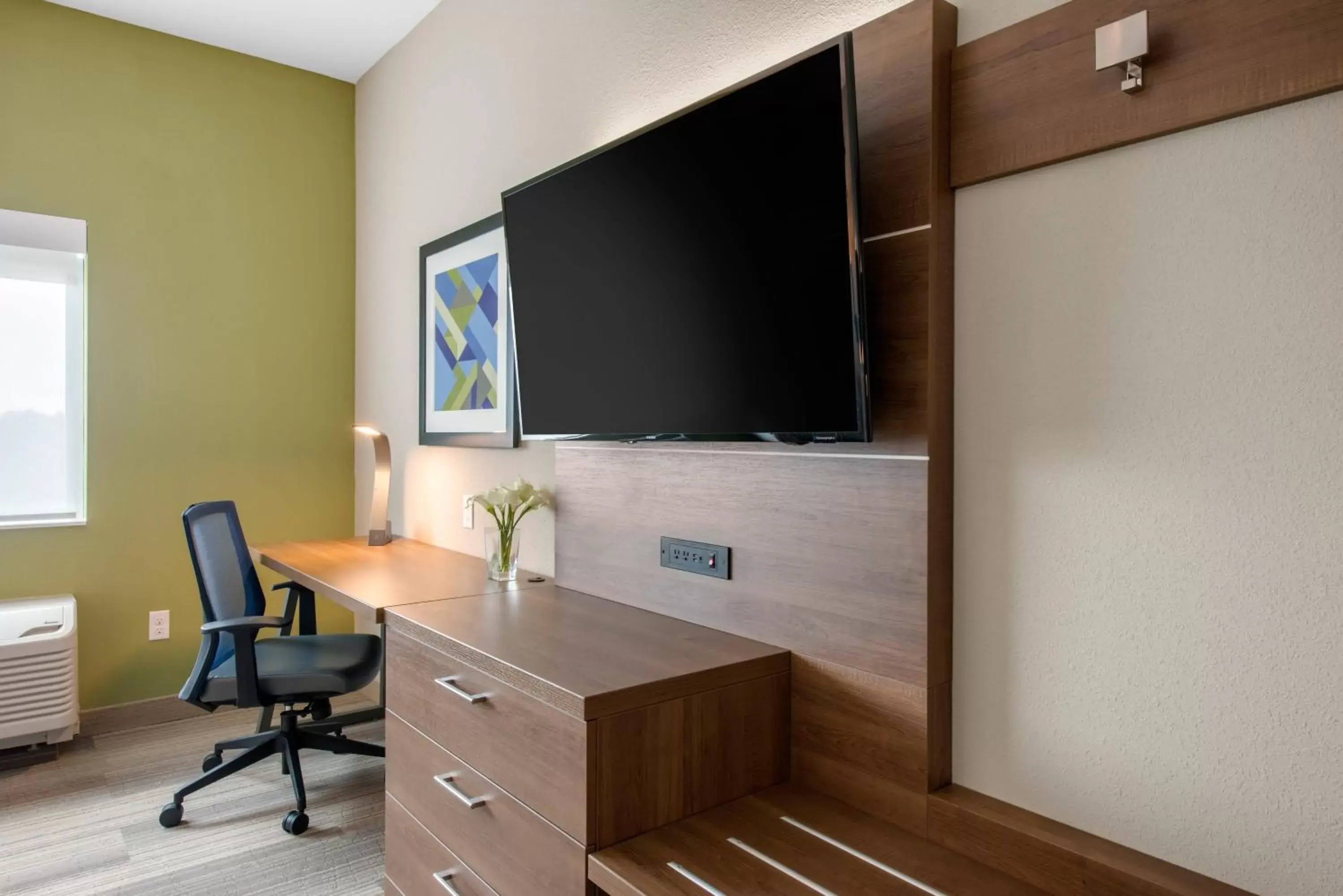 Photo of the whole room, TV/Entertainment Center in Holiday Inn Express & Suites - Ruskin, an IHG Hotel