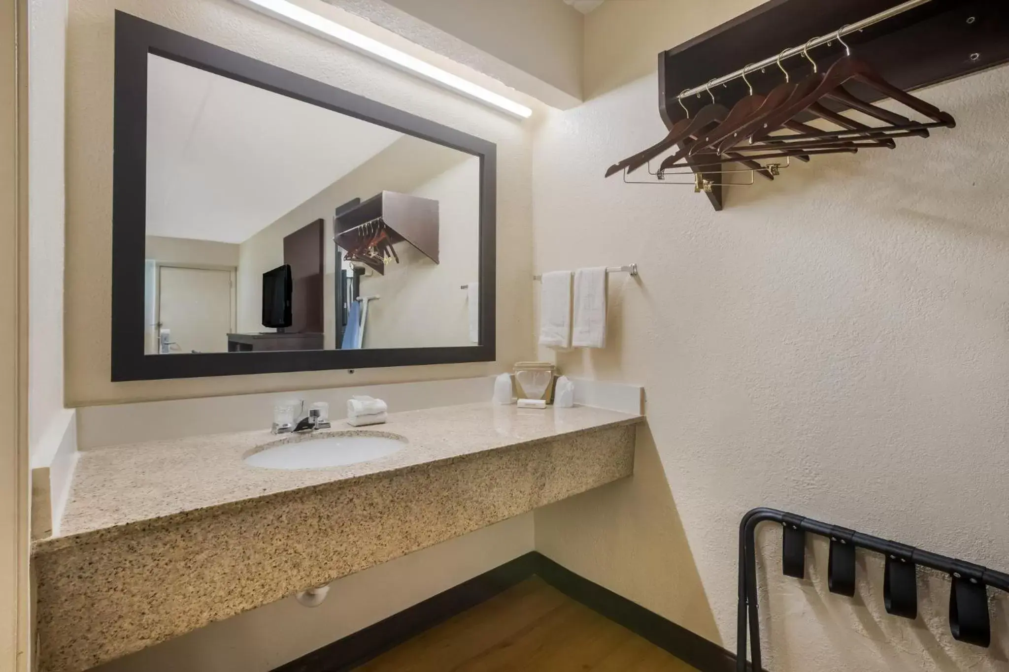 Bathroom in Red Roof Inn Atlanta South - Morrow