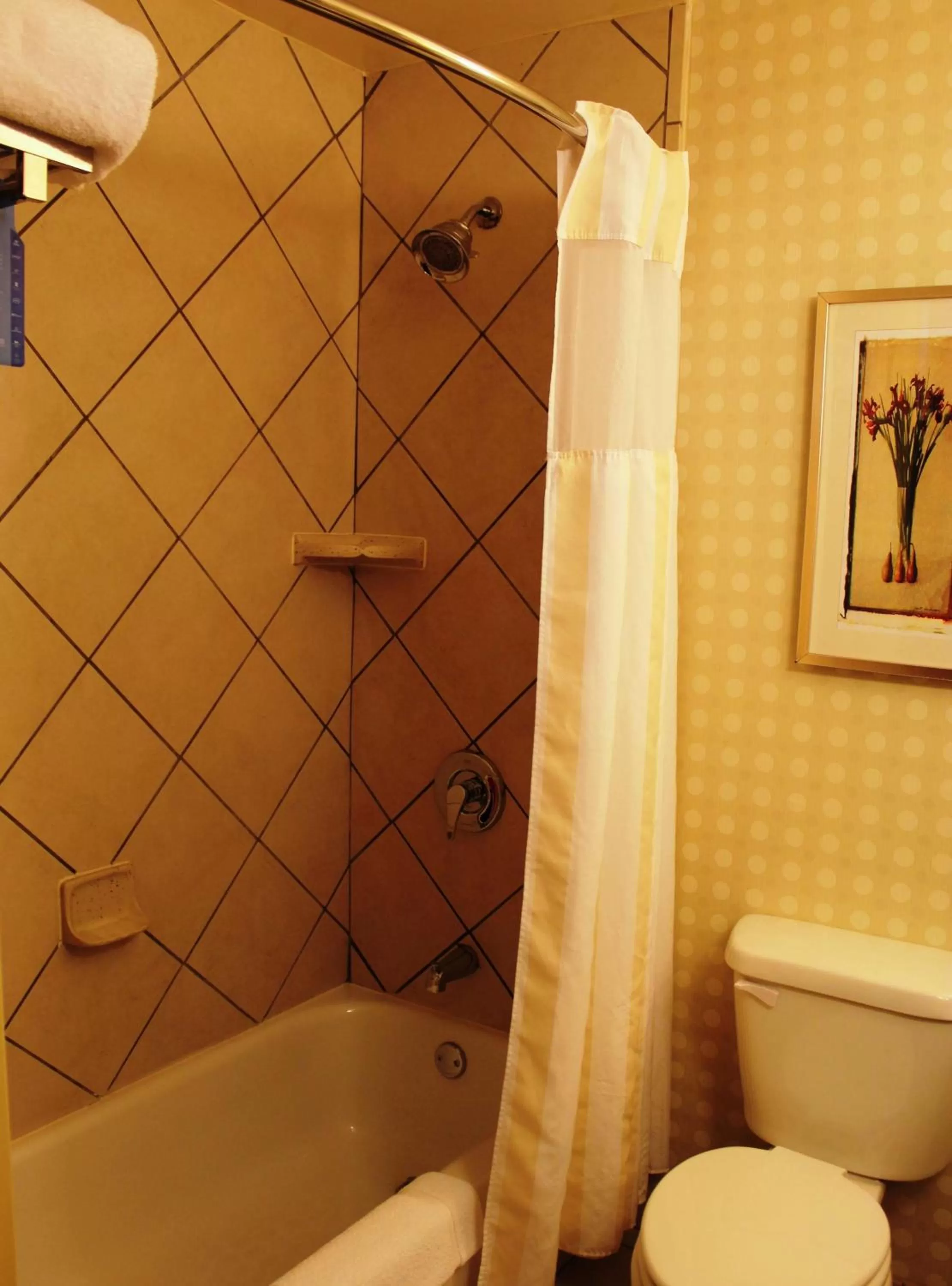 Bathroom in Hilton Garden Inn Starkville