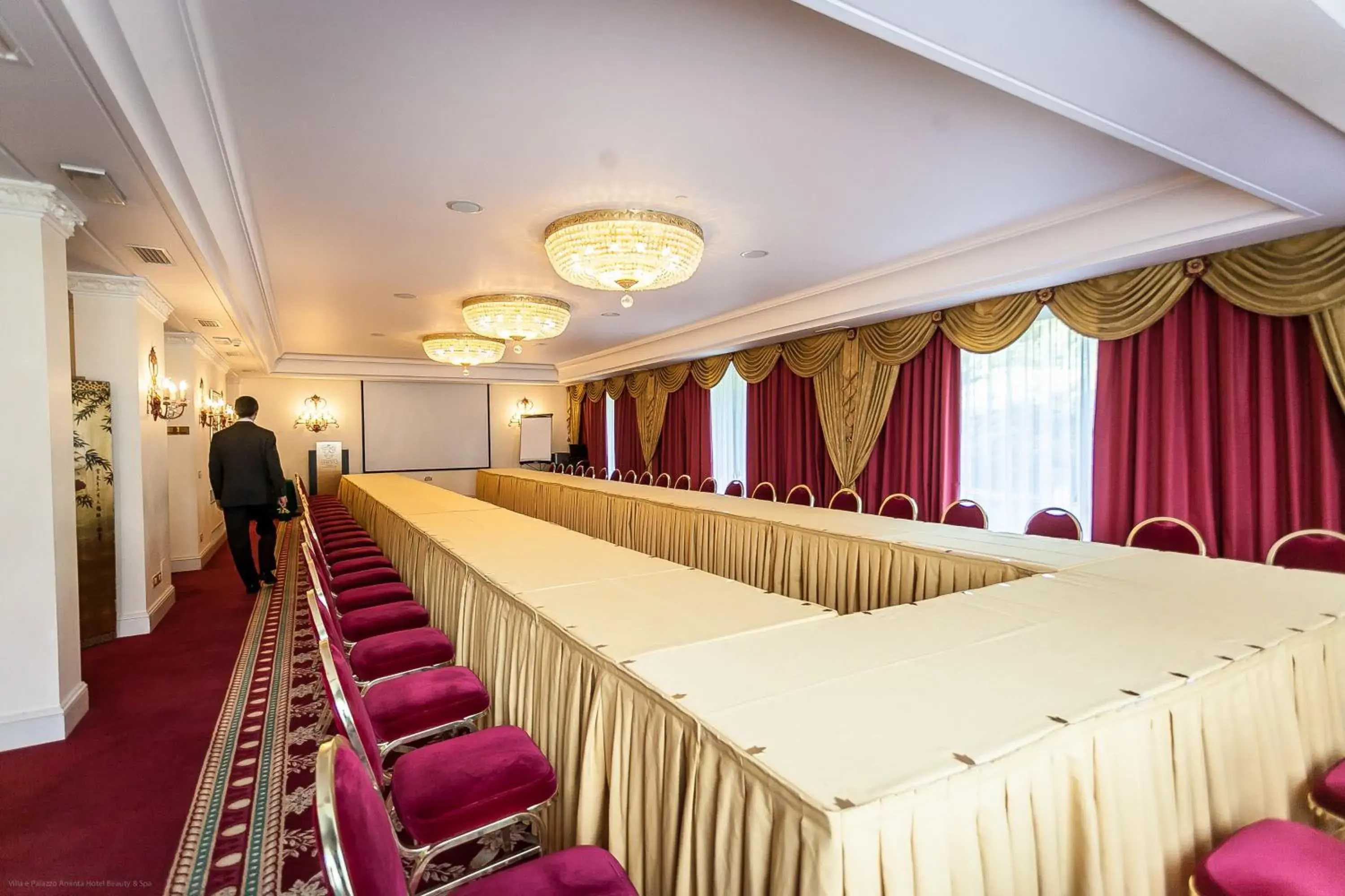 Business facilities in Hotel Villa E Palazzo Aminta