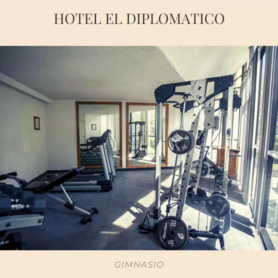 Fitness centre/facilities in El Diplomatico