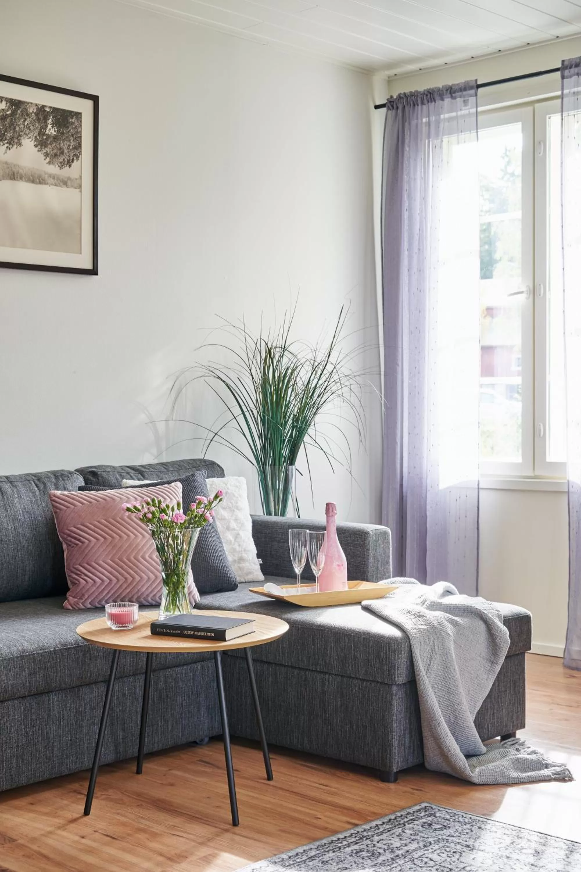 Seating area in Hotel Villa Molnby