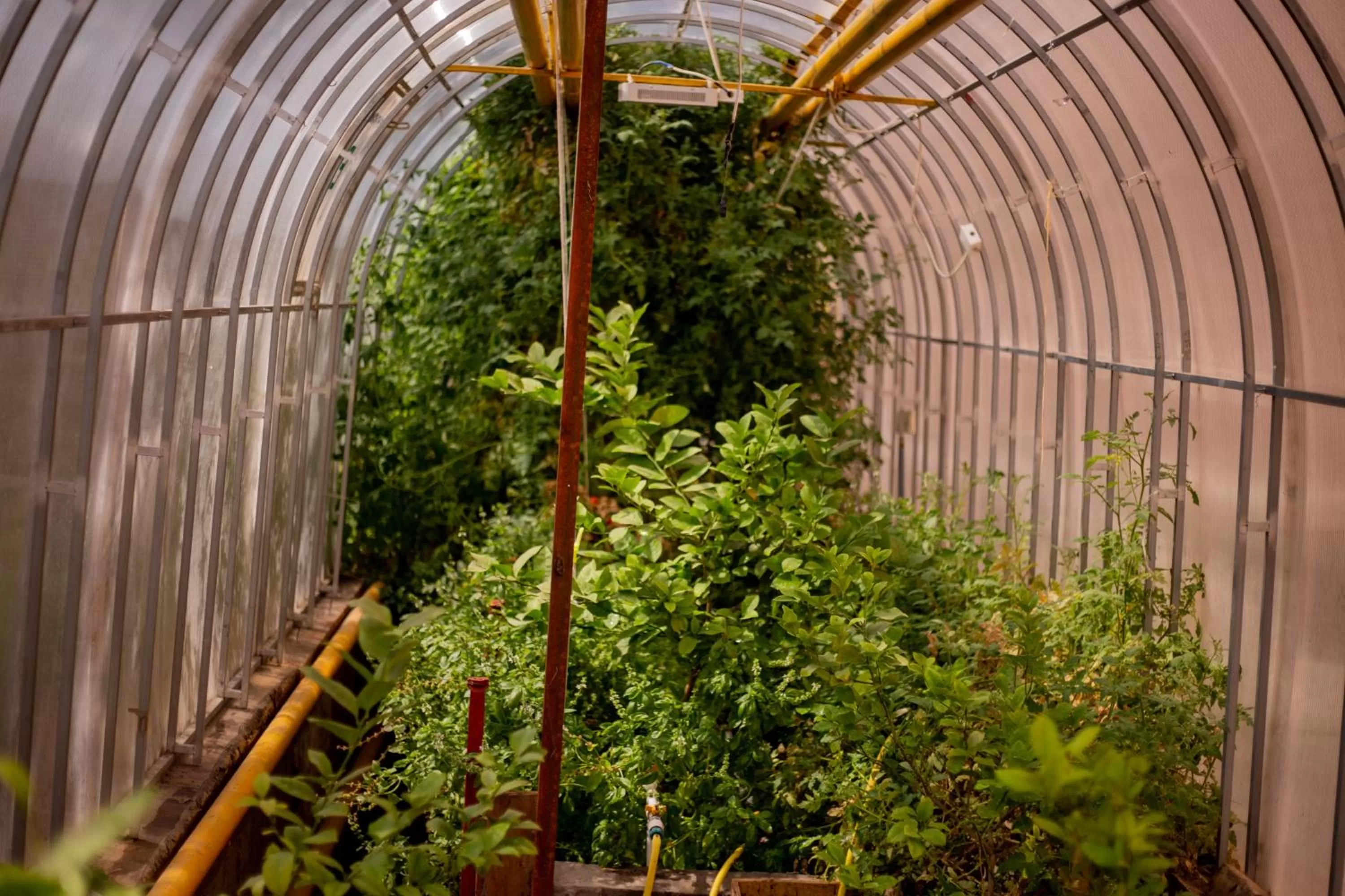 Balcony/Terrace in Amsterdam Hotel Aktobe