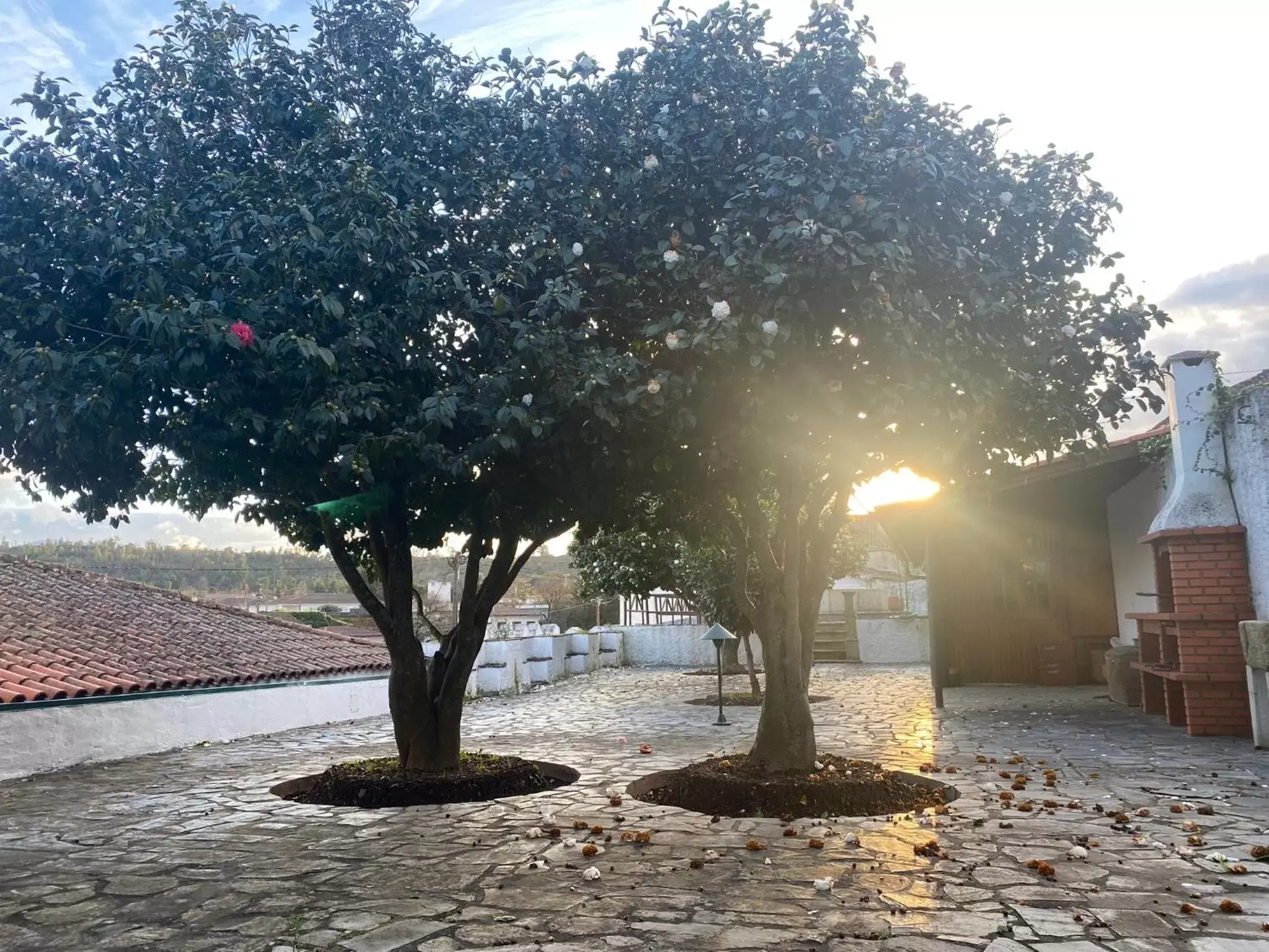 BBQ facilities in Casa da Ponte, Coja