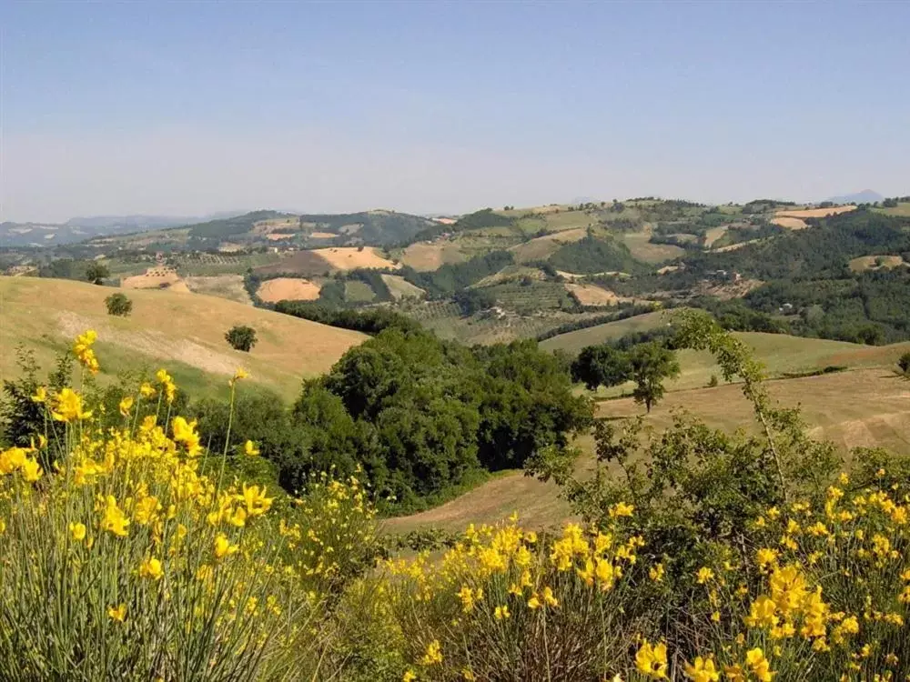 Natural landscape in La Cinci Allegra