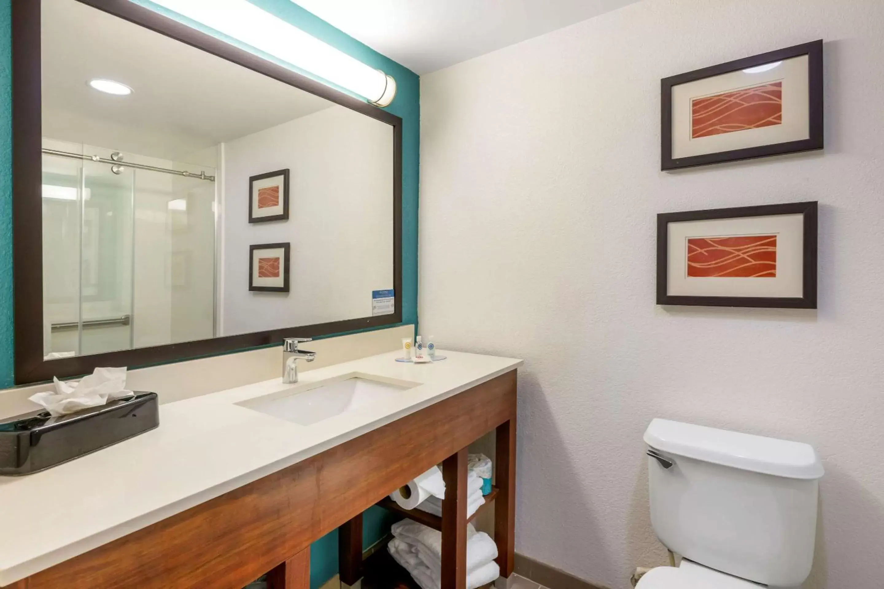 Bathroom in Comfort Inn & Suites Fort Lauderdale West Turnpike