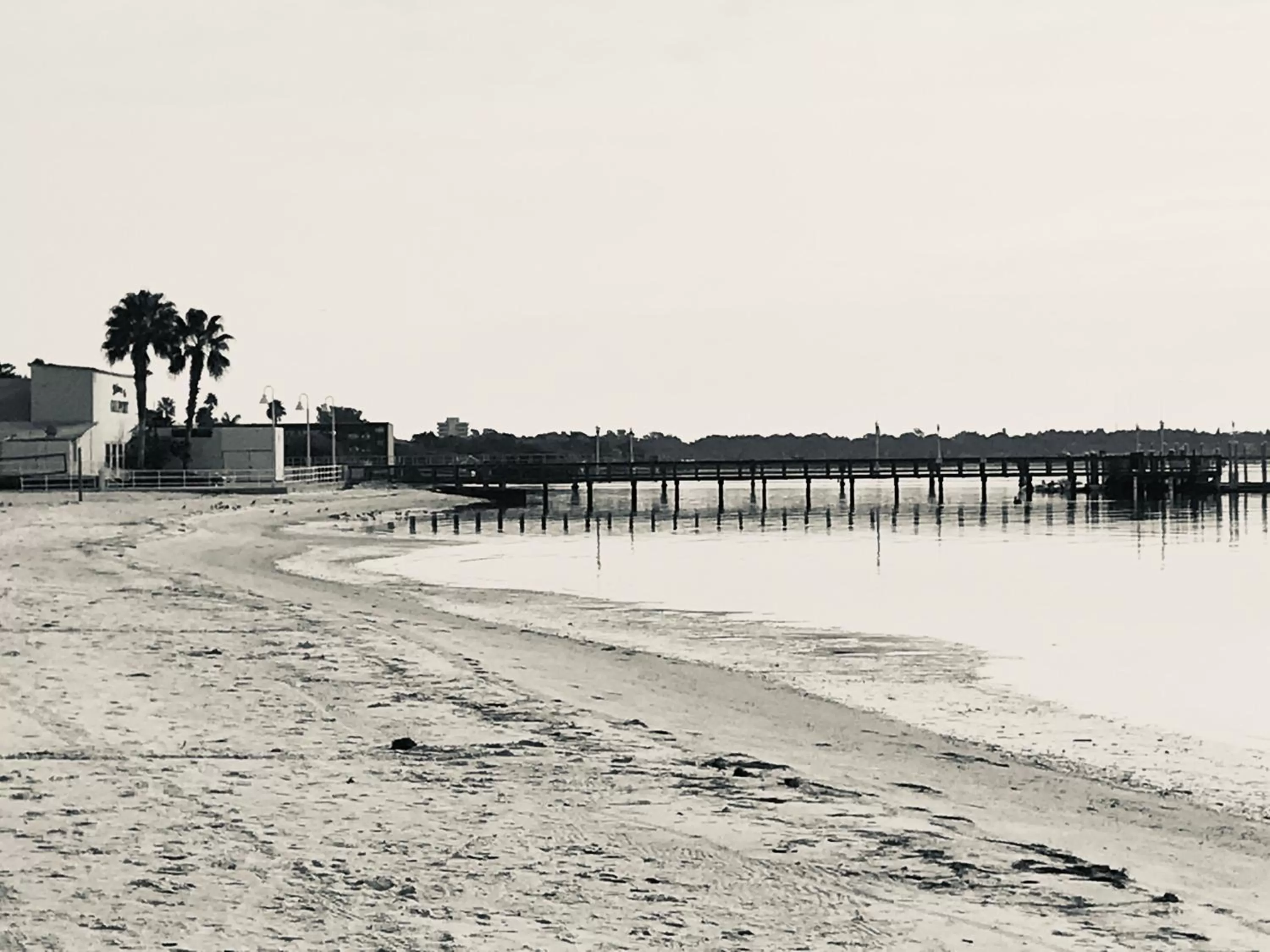 Natural landscape, Winter in Sea Breeze Manor Inn