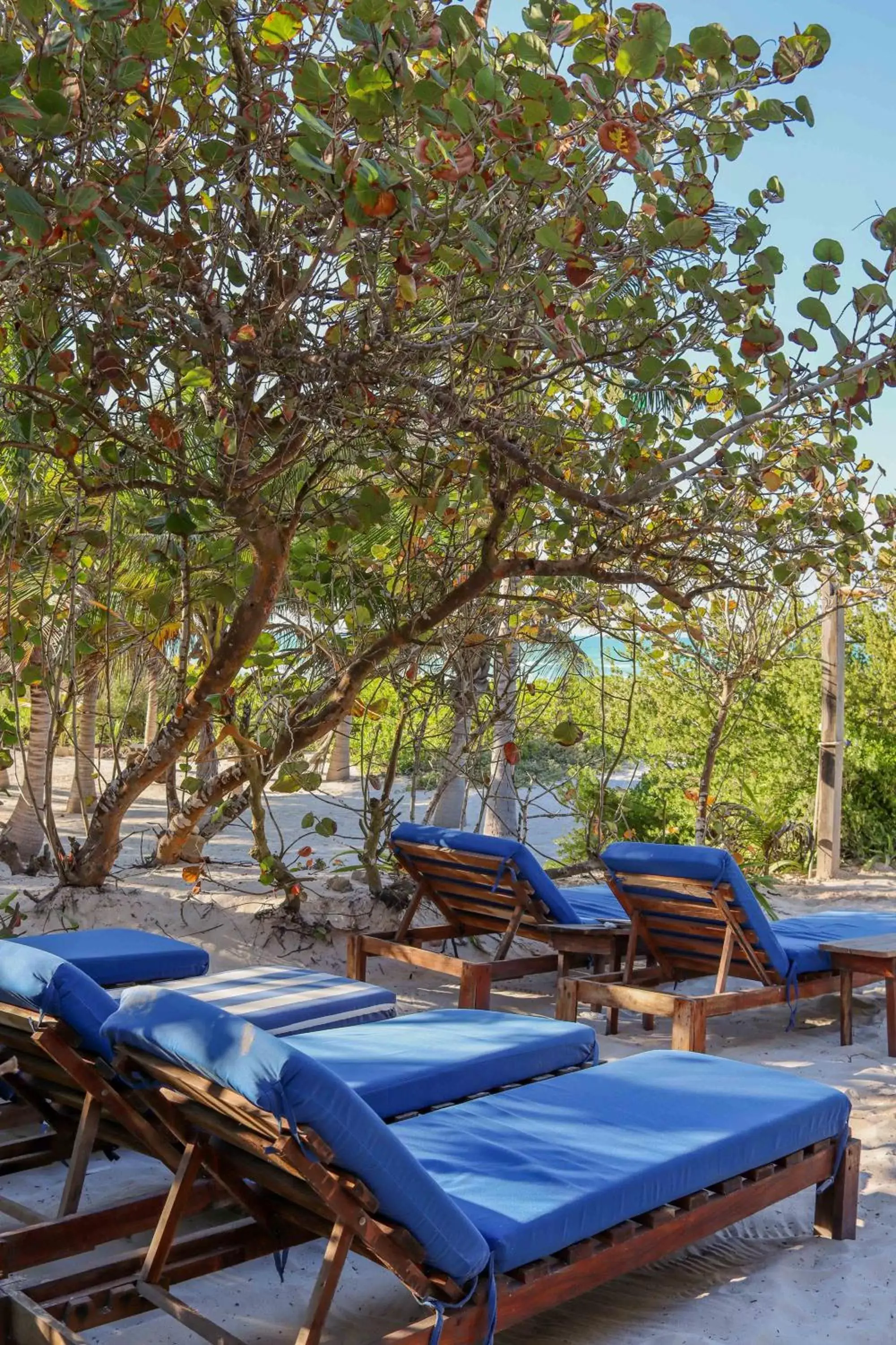 Swimming Pool in Casa Mate BeachFront Cabañas El Cuyo