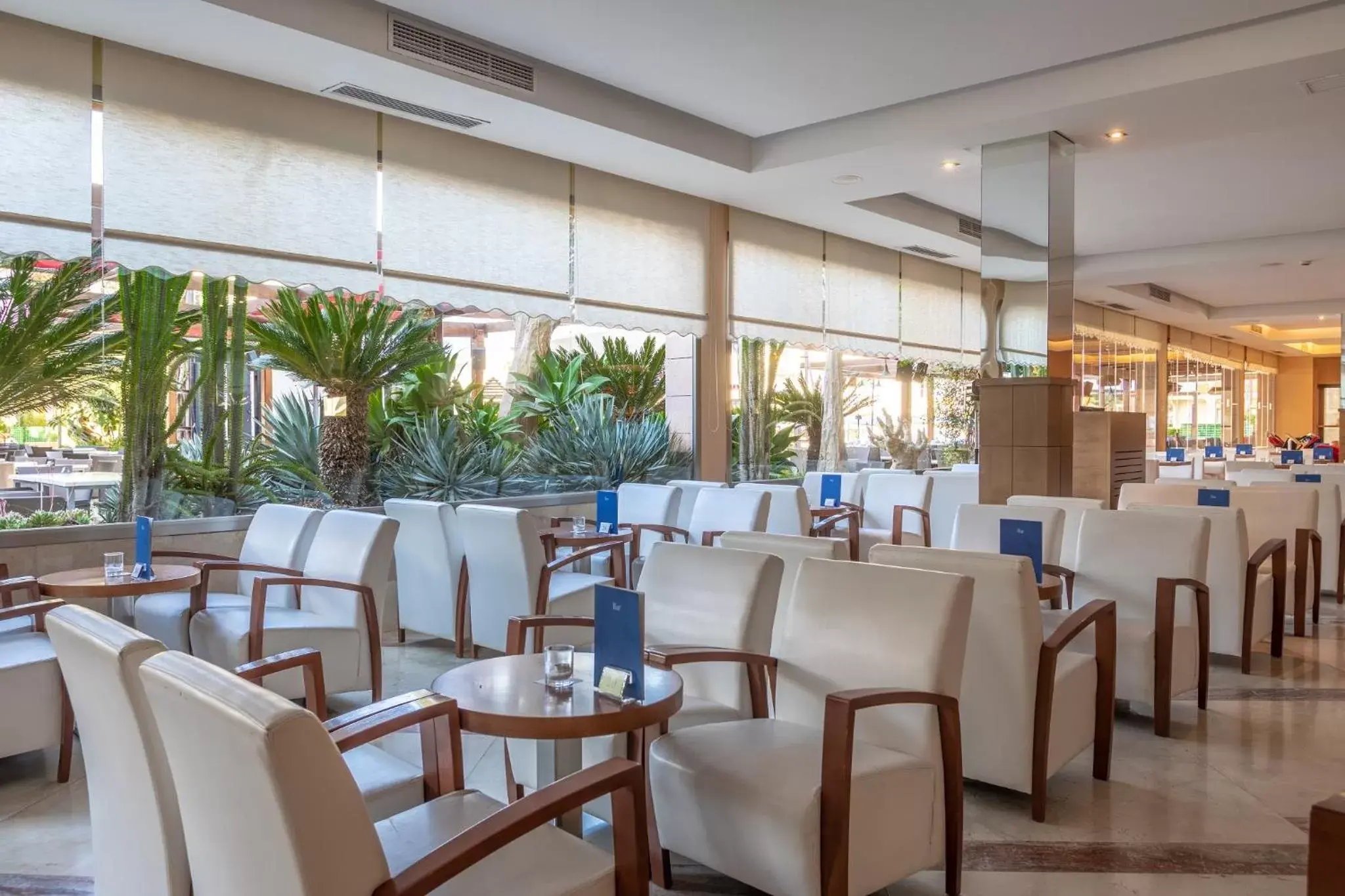 Lounge or bar, Restaurant/Places to Eat in Zafiro Tropic