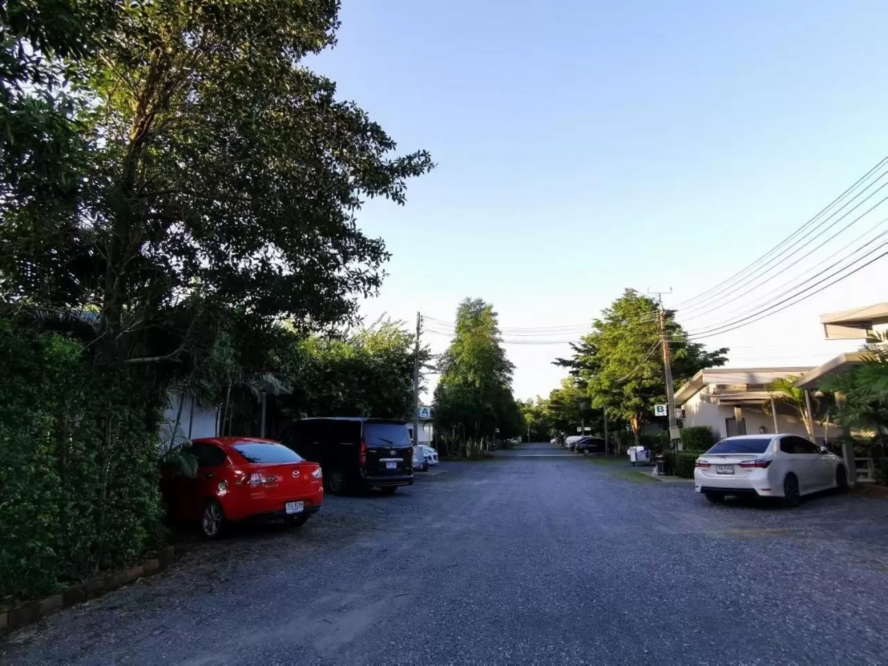 แกรนด์ ฟอเรสท์ Grand Forest