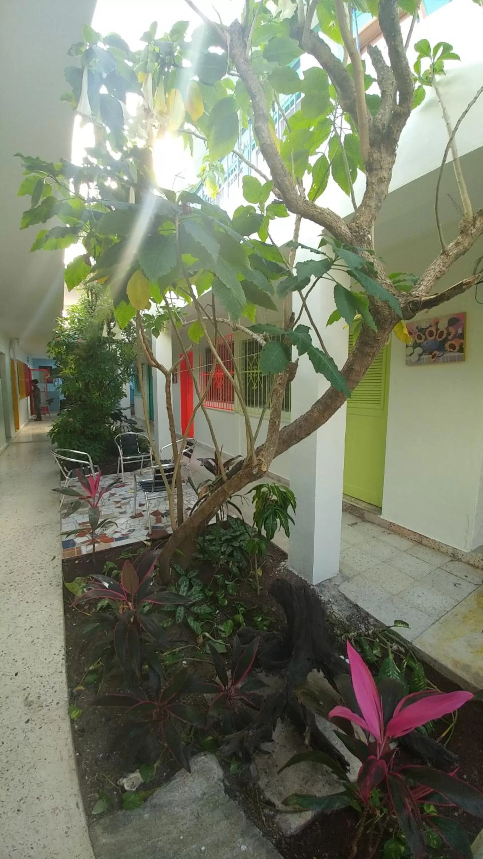 Garden in Hotel Posada Edem