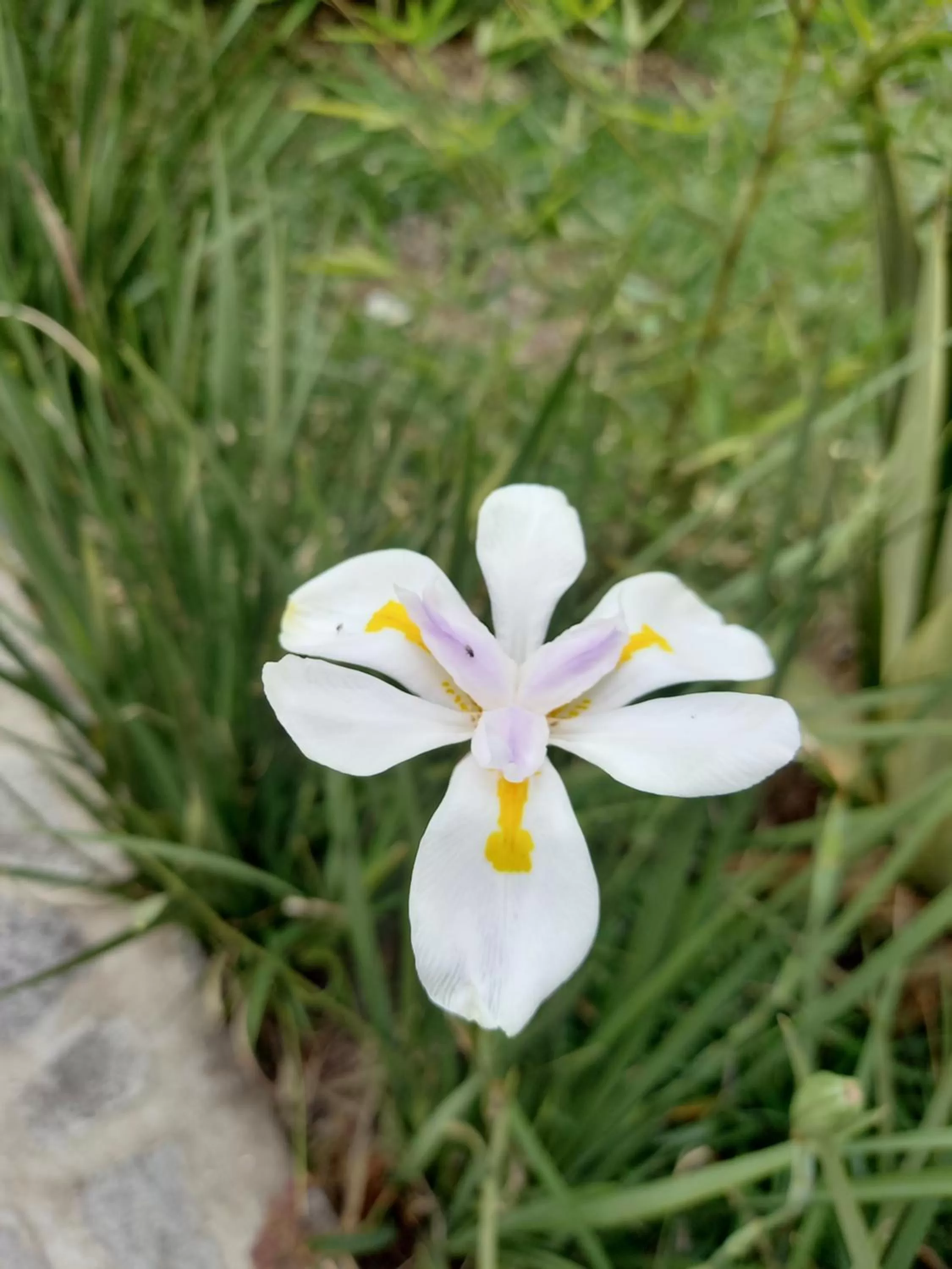 Garden in Isange Paradise Resort