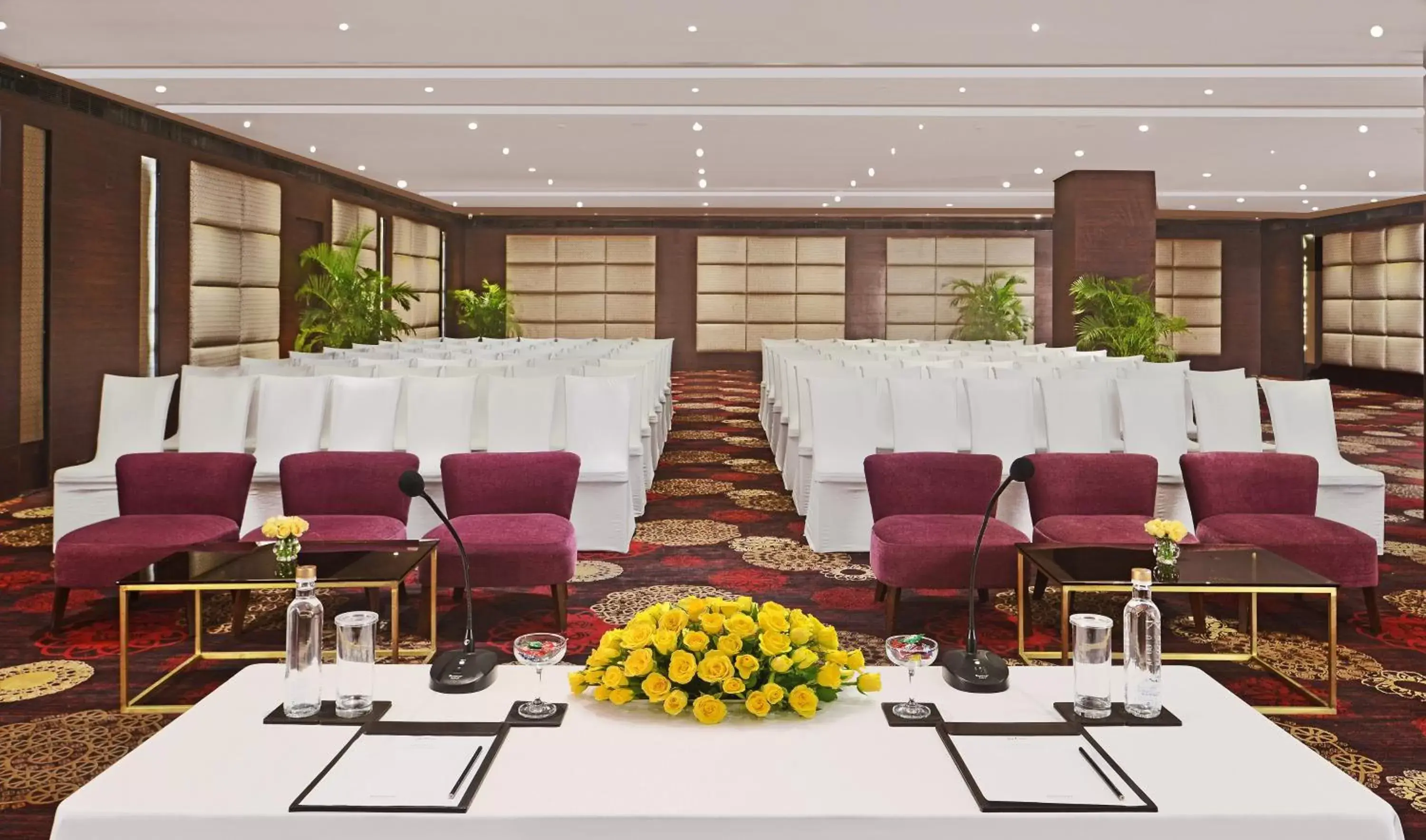 Banquet/Function facilities in Radisson Hotel Agra