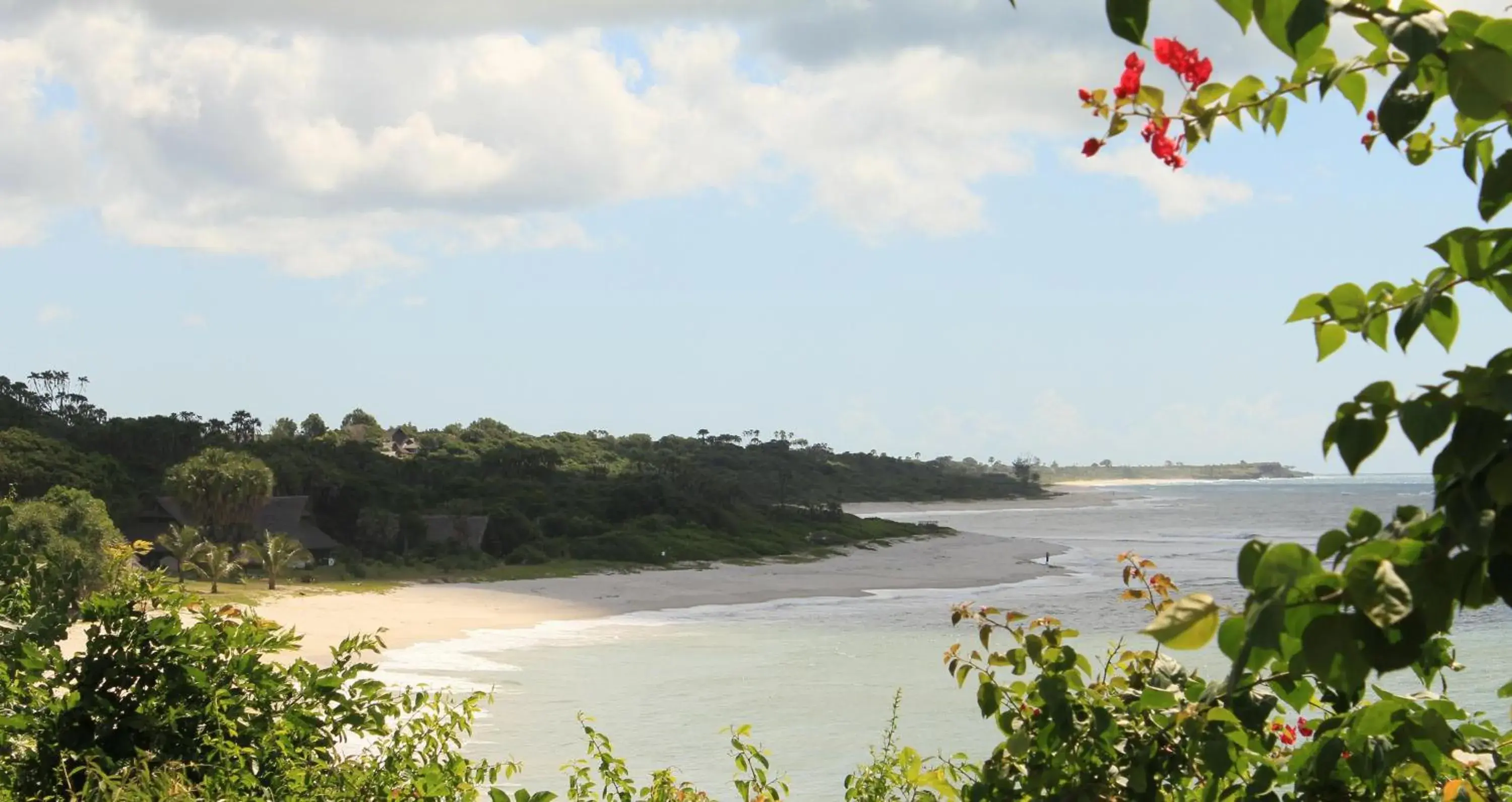 Beach in Amani Beach Hotel