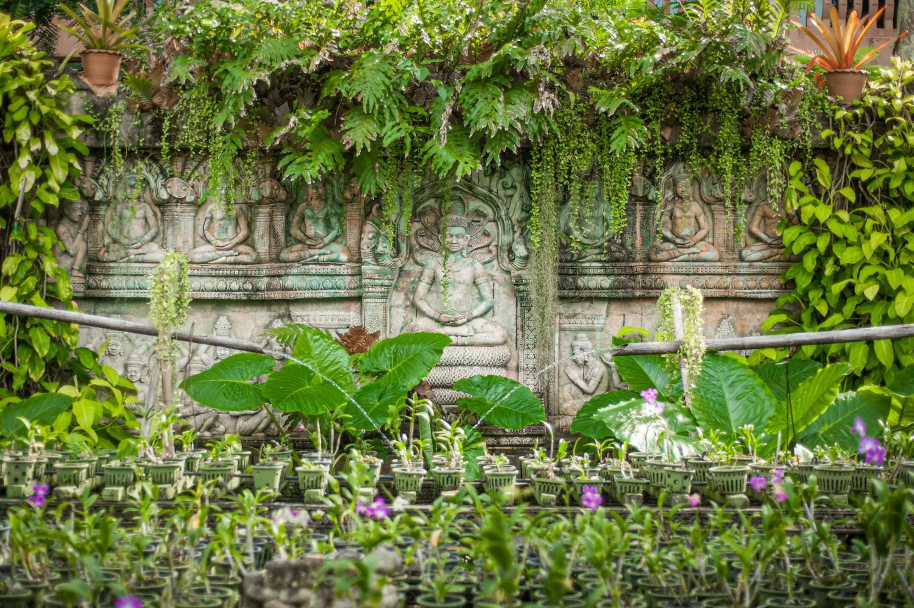 Garden in Thavorn Palm Beach Resort Phuket