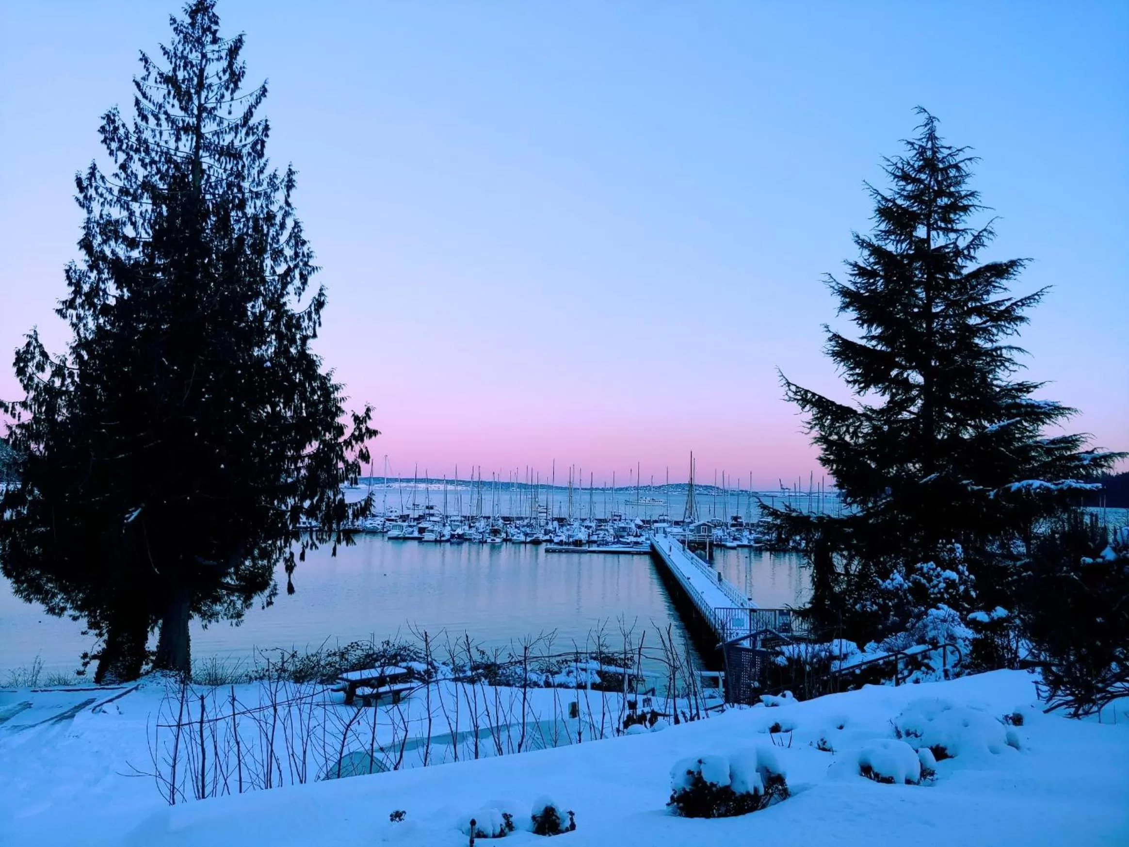 View (from property/room) in Old Alcohol Plant