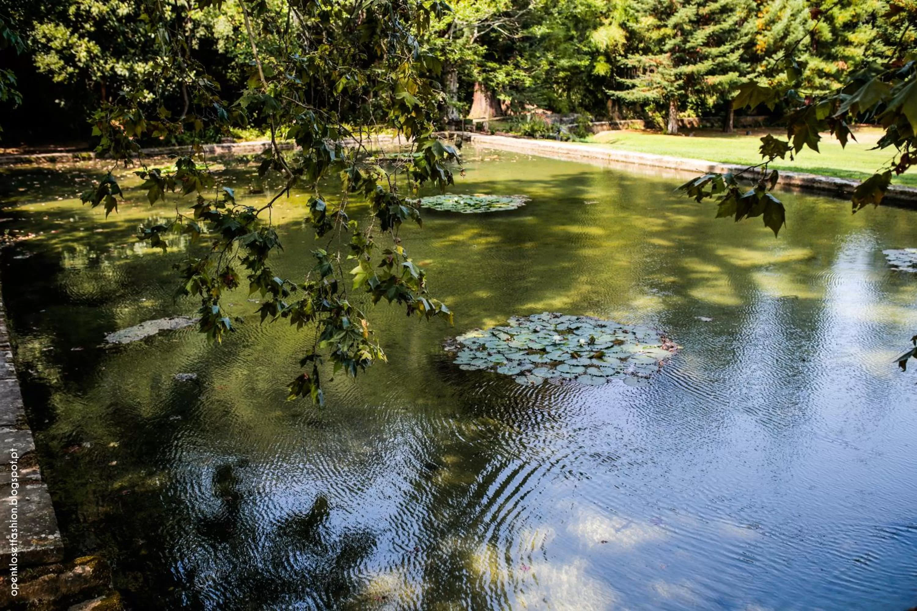 Garden in Hotel Quinta das Lagrimas - Small Luxury Hotels