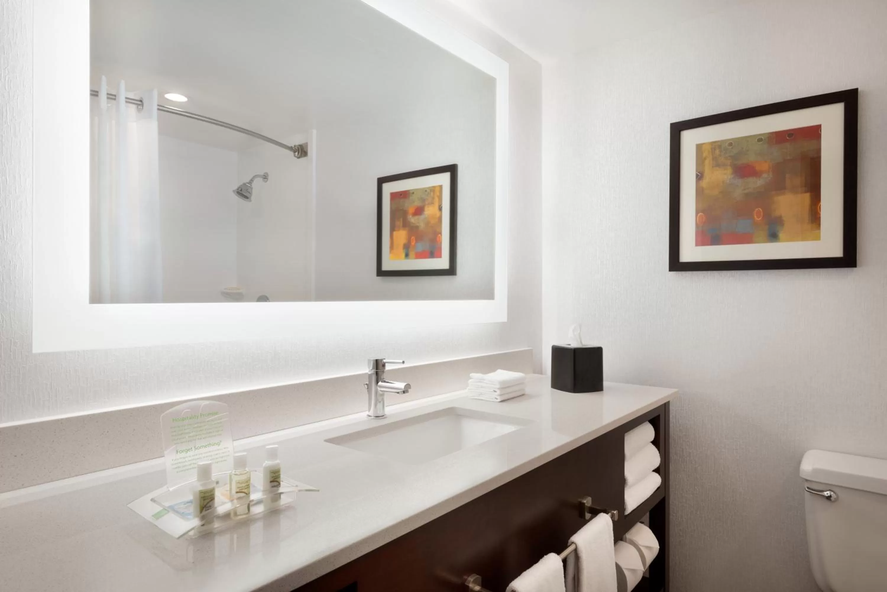 Bathroom in Holiday Inn Rock Island-Quad Cities by IHG