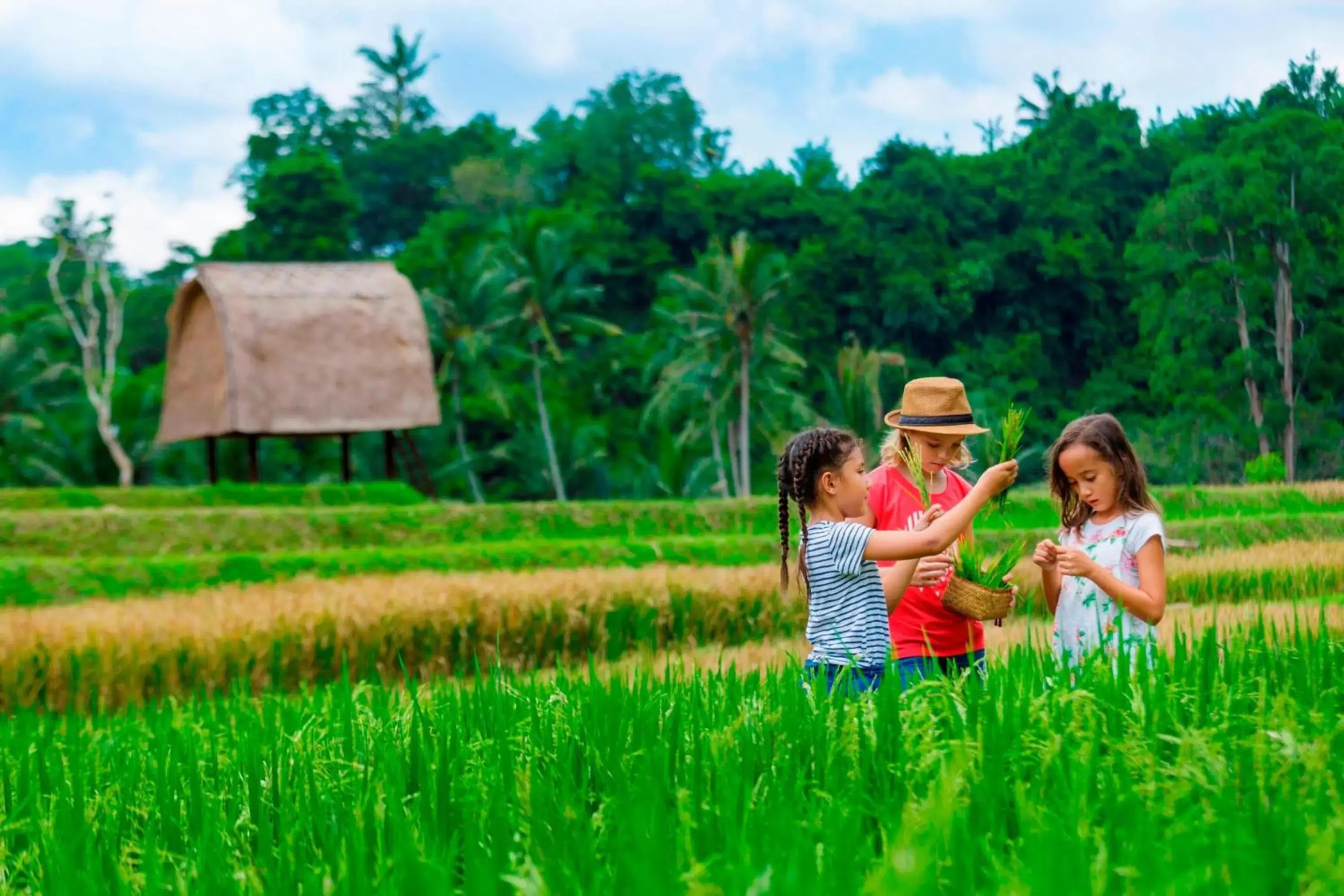 Other, Family in Mandapa A Ritz-Carlton Reserve