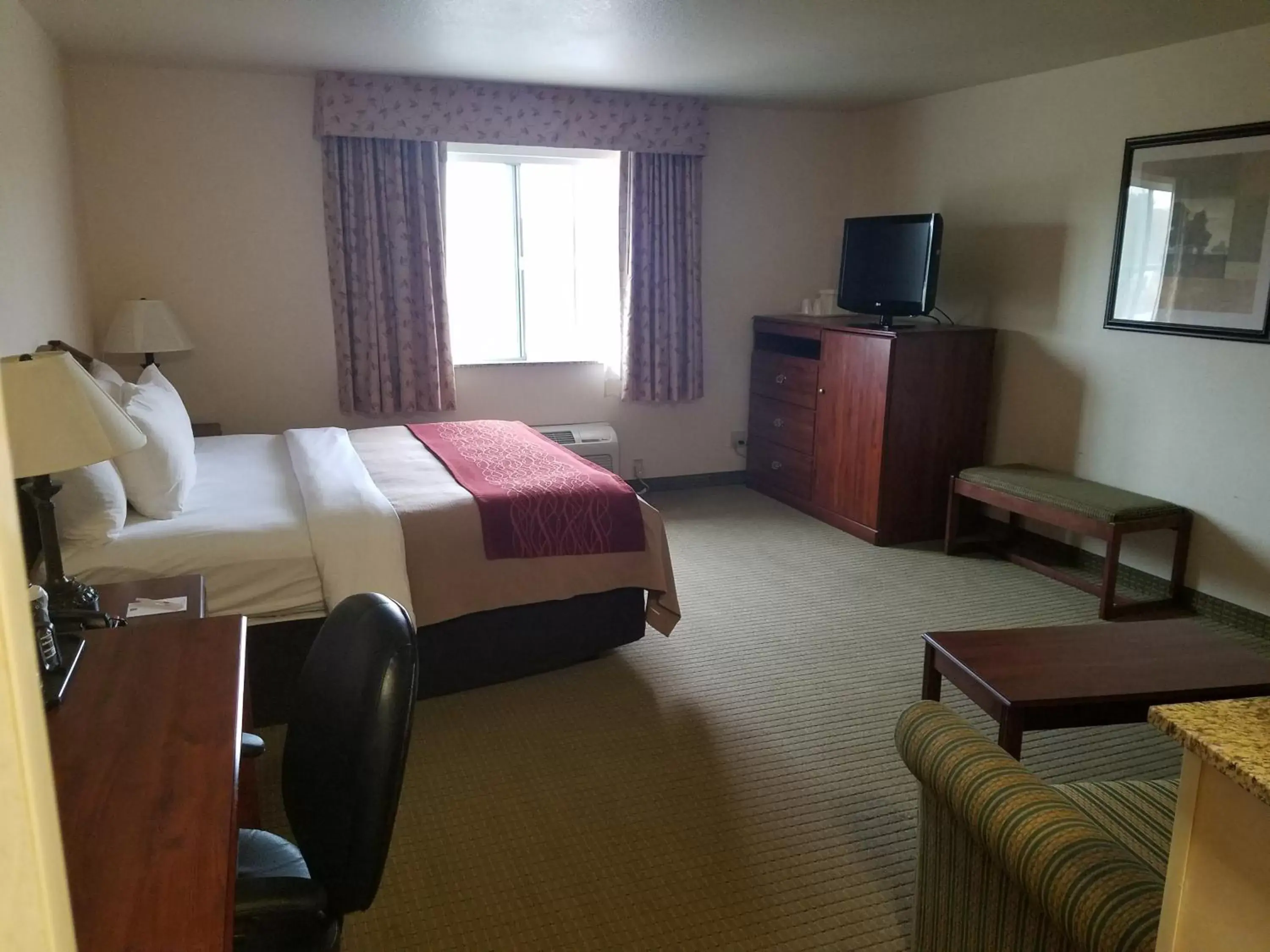 Bedroom, TV/Entertainment Center in SureStay Plus Hotel by Best Western Buffalo