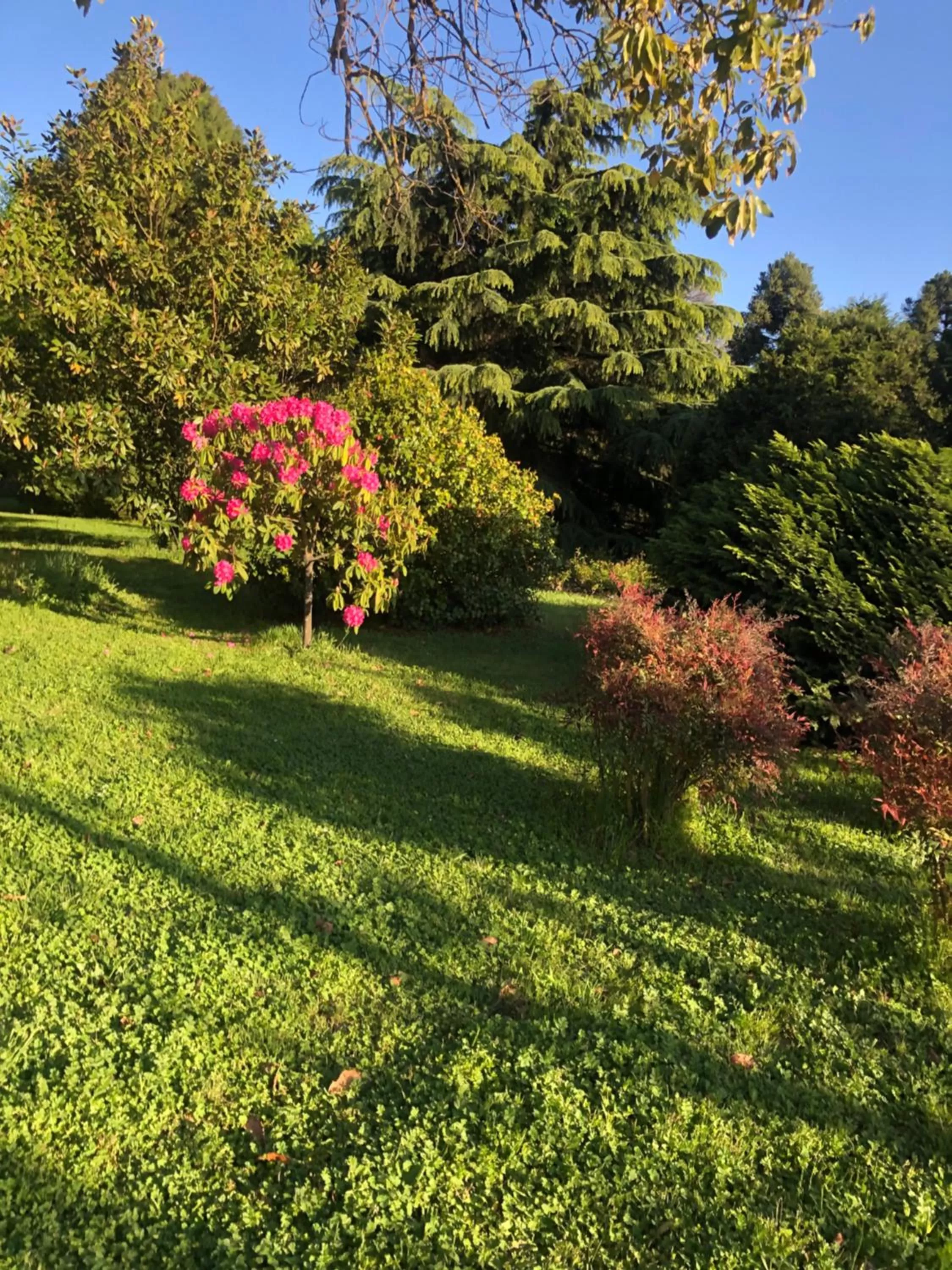 Garden in Family Orchard Bed & Breakfast