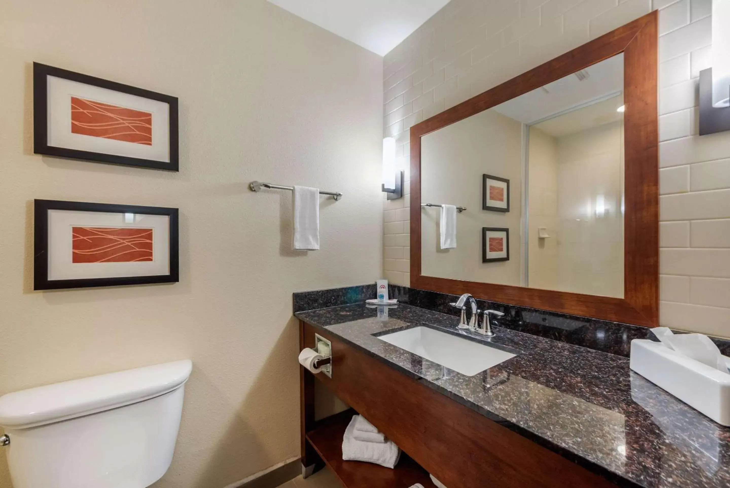 Photo of the whole room, Bathroom in Comfort Inn & Suites Alamosa