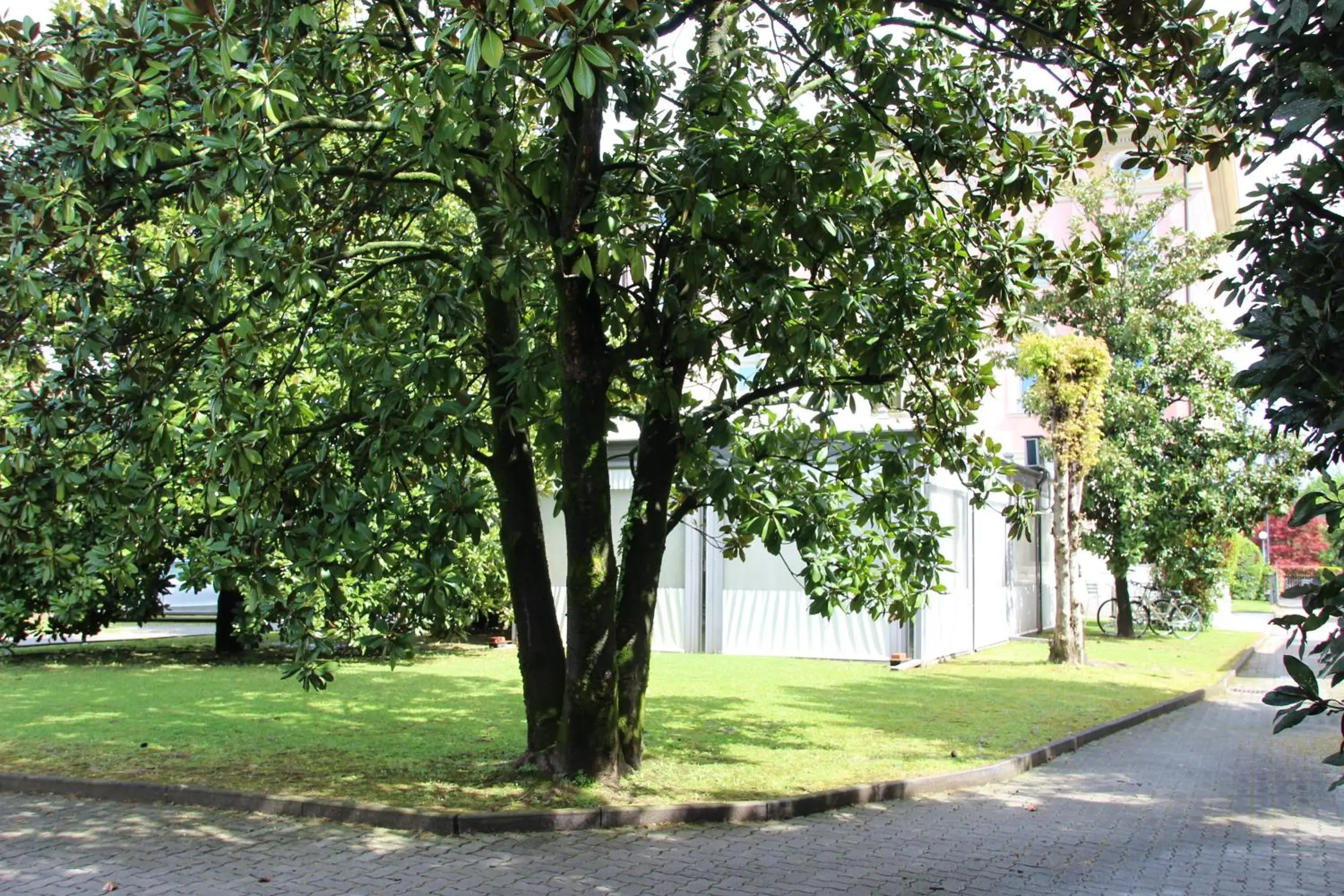 Garden in Park Hotel Villa Leon d'Oro