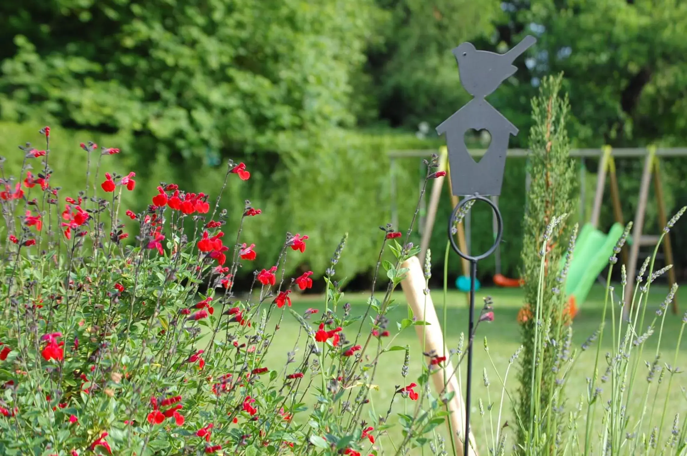 Garden in Le clos du mont César