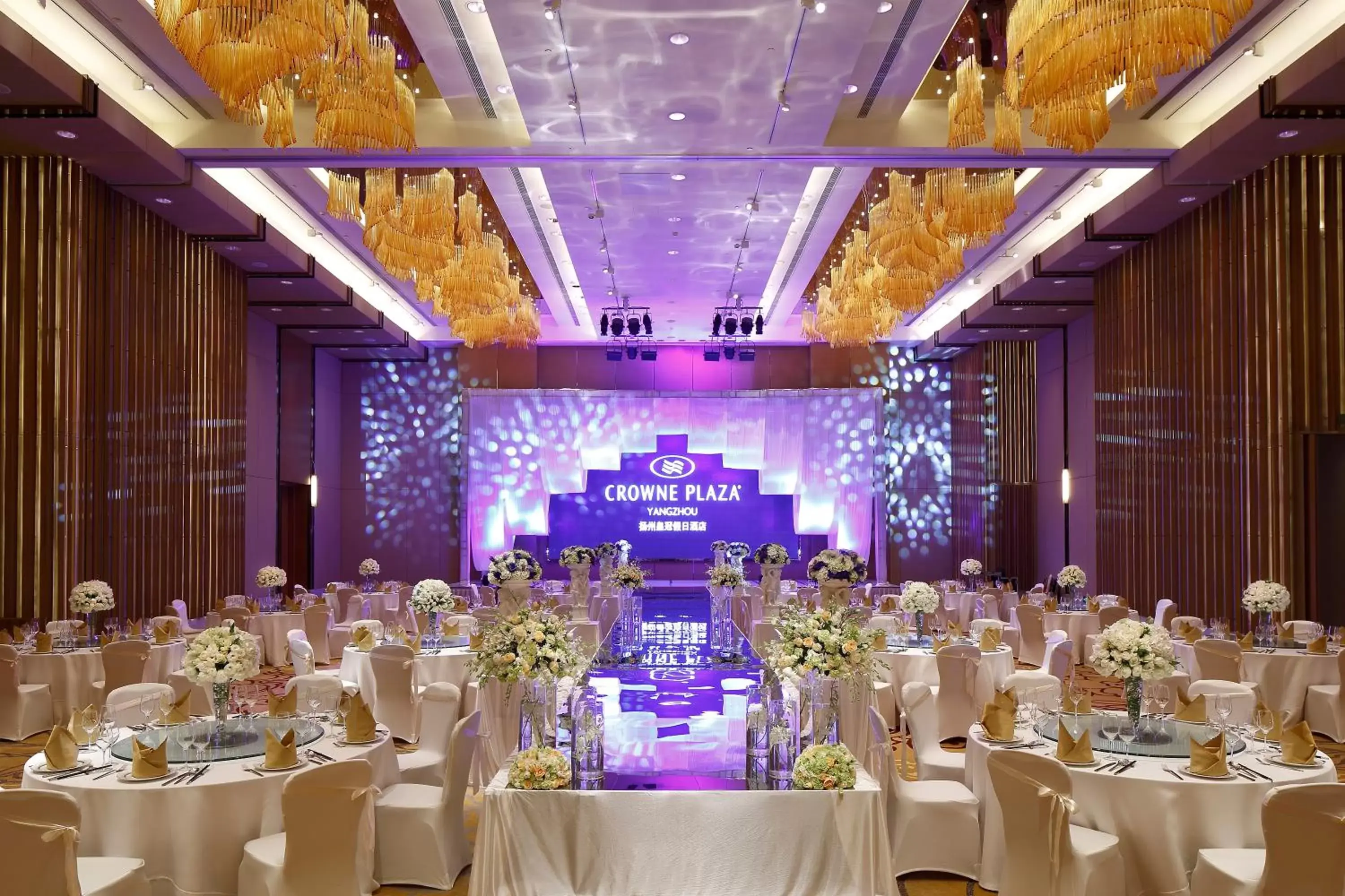 Meeting/conference room, Banquet Facilities in Crowne Plaza Yangzhou, an IHG Hotel