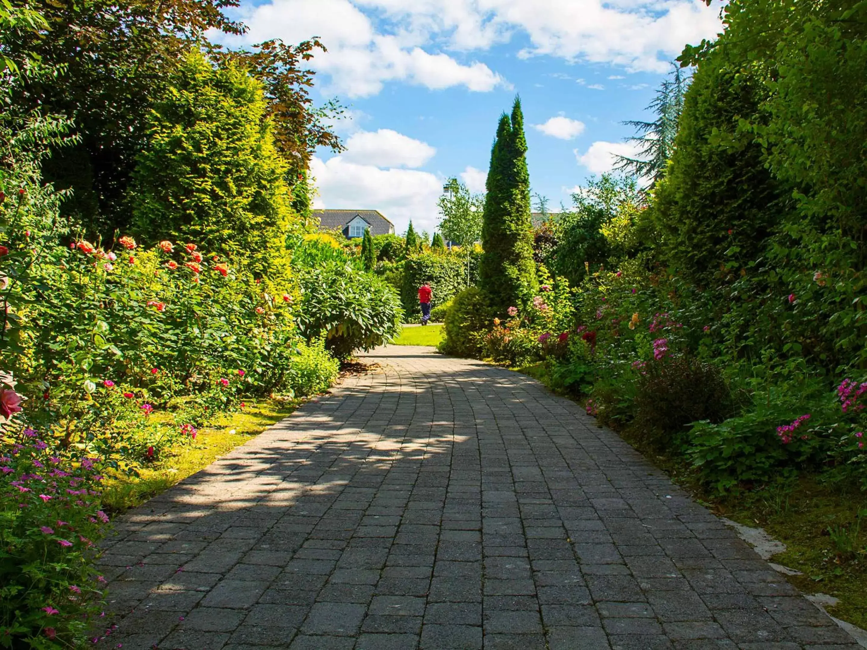 Garden in Abbey Court